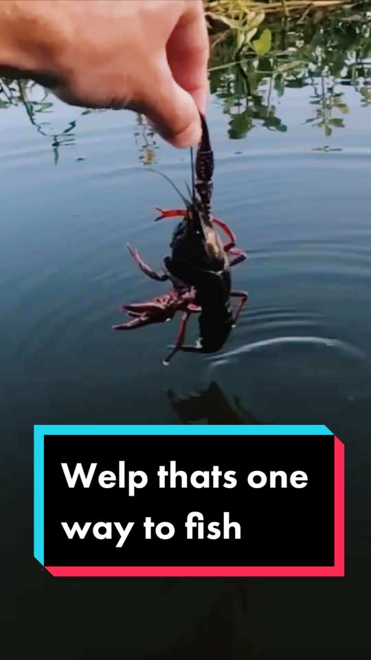 @Bassinwithjay