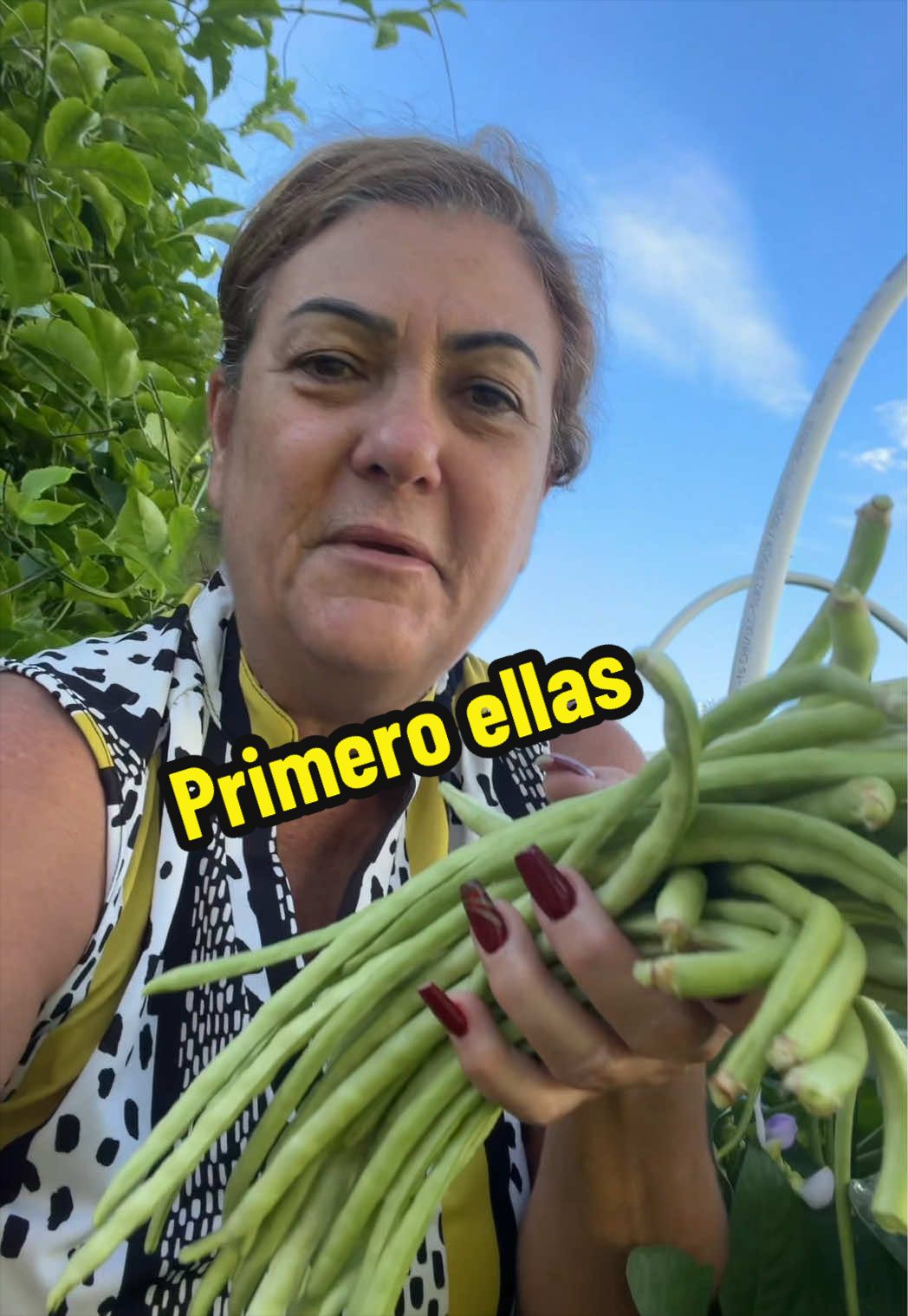 @Aprendiendo con Ana