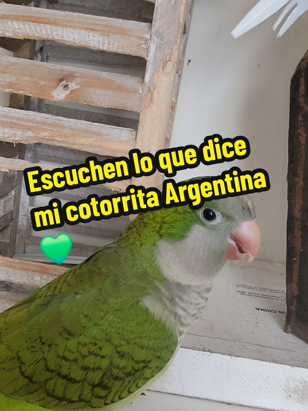 @Nico