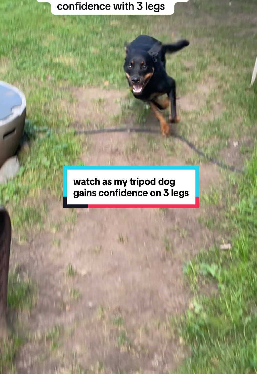 @Ozai the Tripod