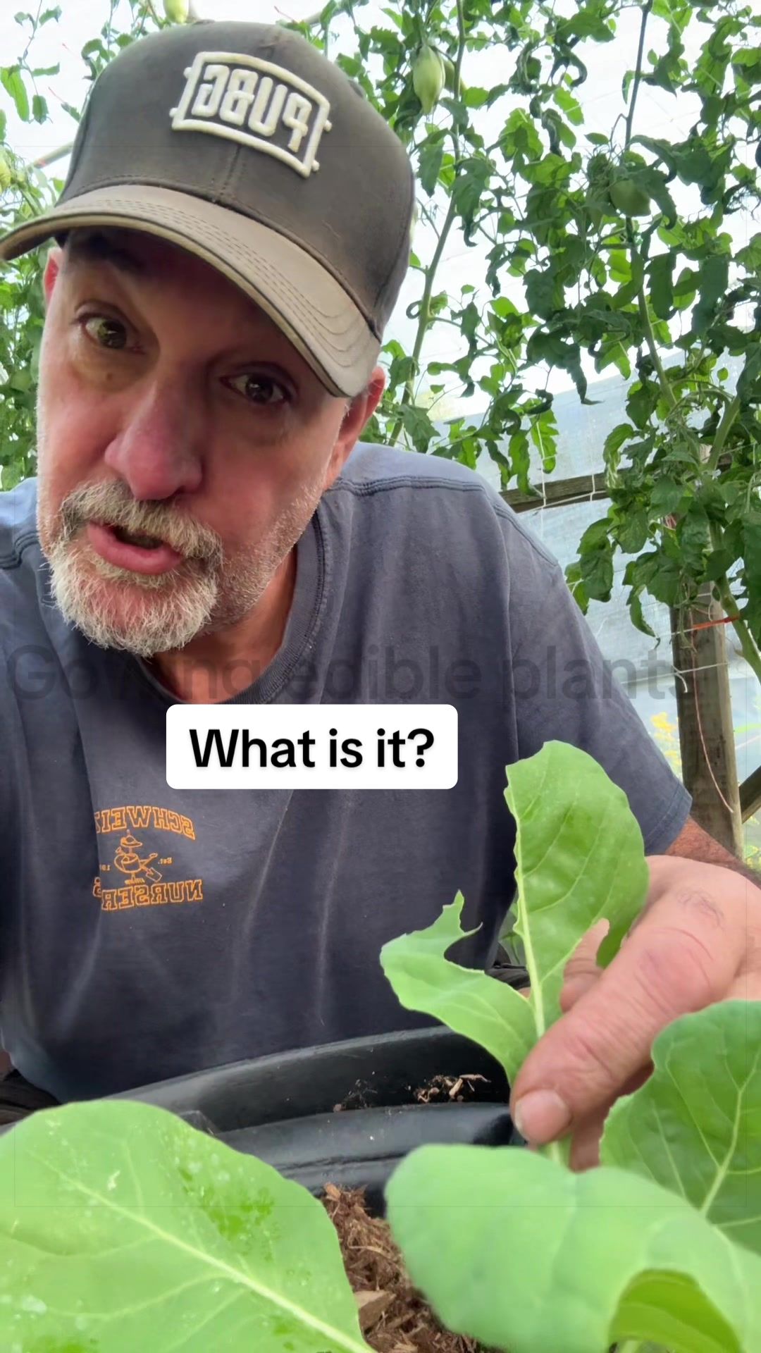 @GROWING_EDIBLE_PLANTS