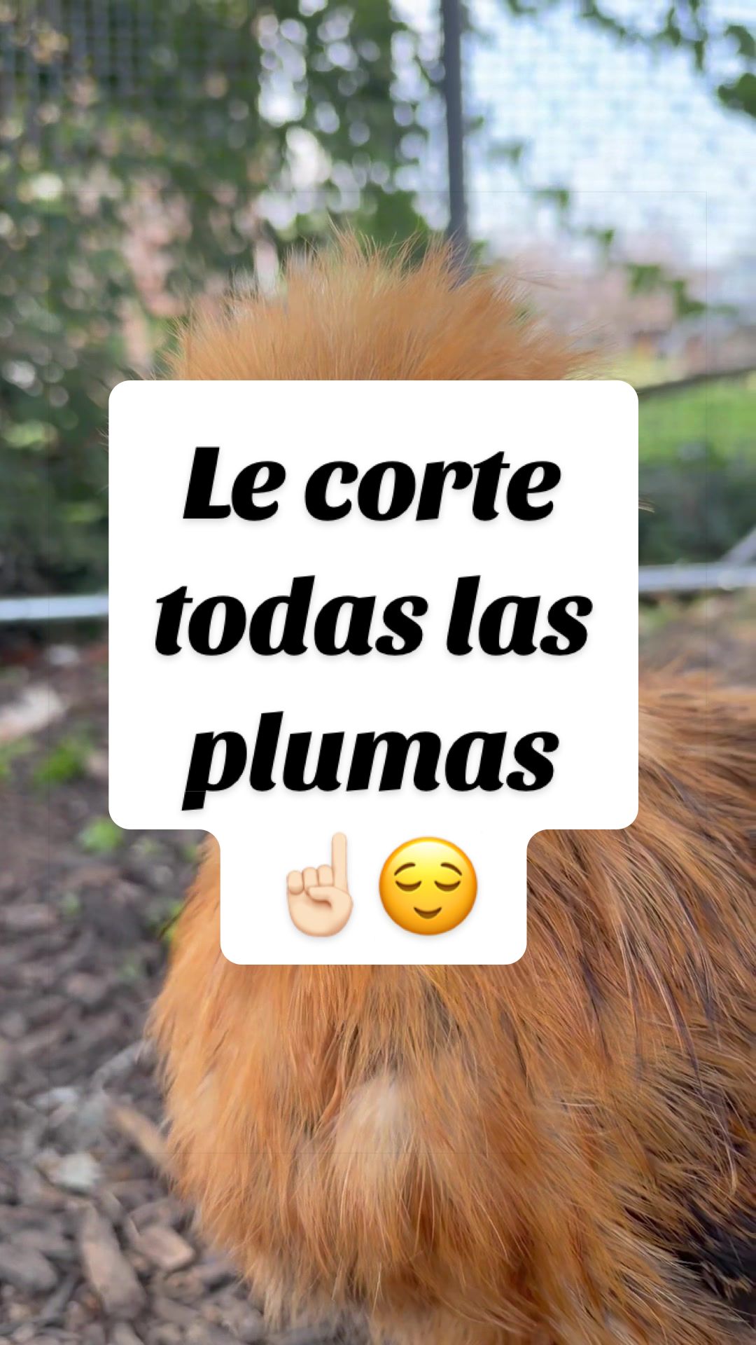 @Elianne Martinez