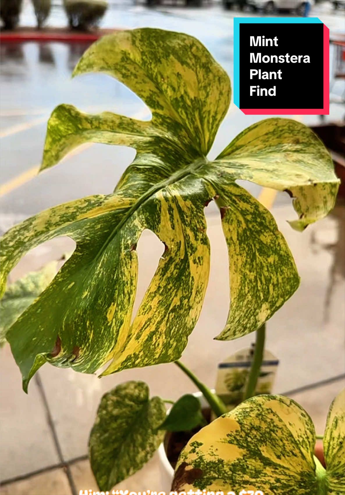 @Daniel