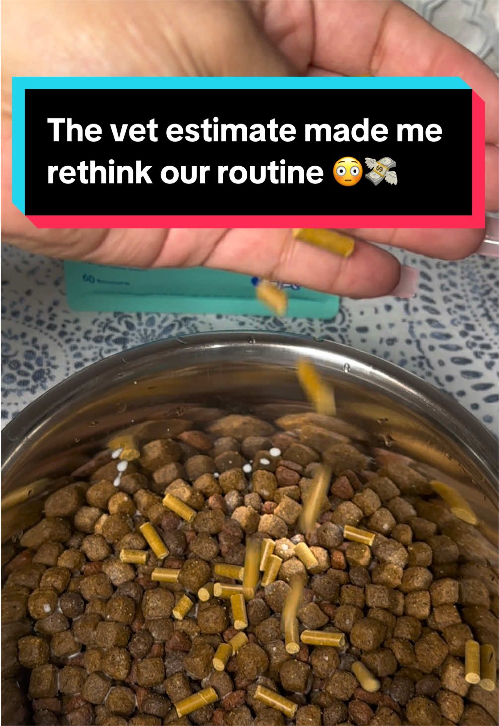 @Trinity 🐶🐾 | Dog Mom Finds