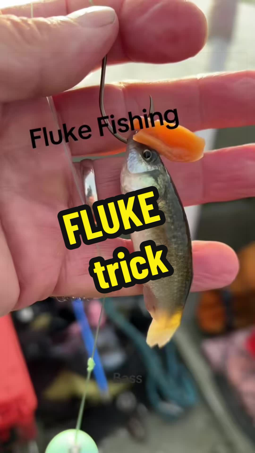 @For ReeLz Fishing 🎣