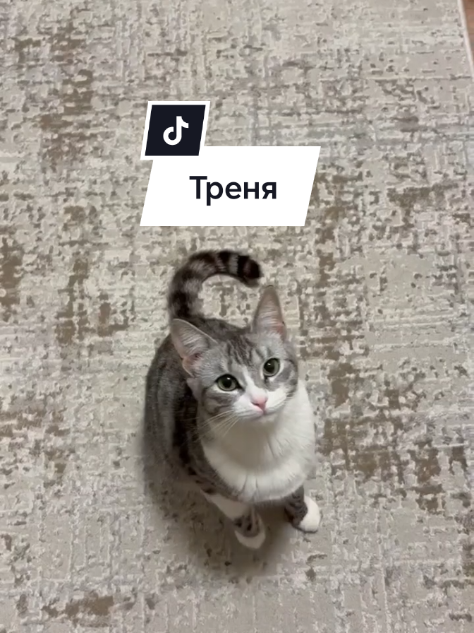 @🩸маньячка🩸