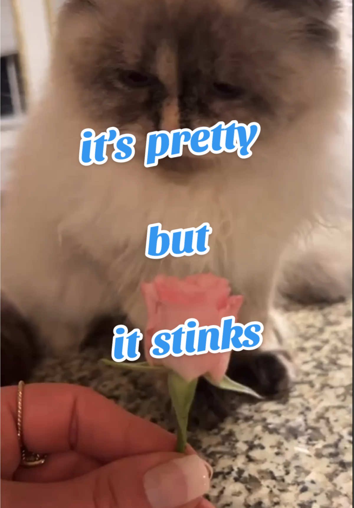 @Christina