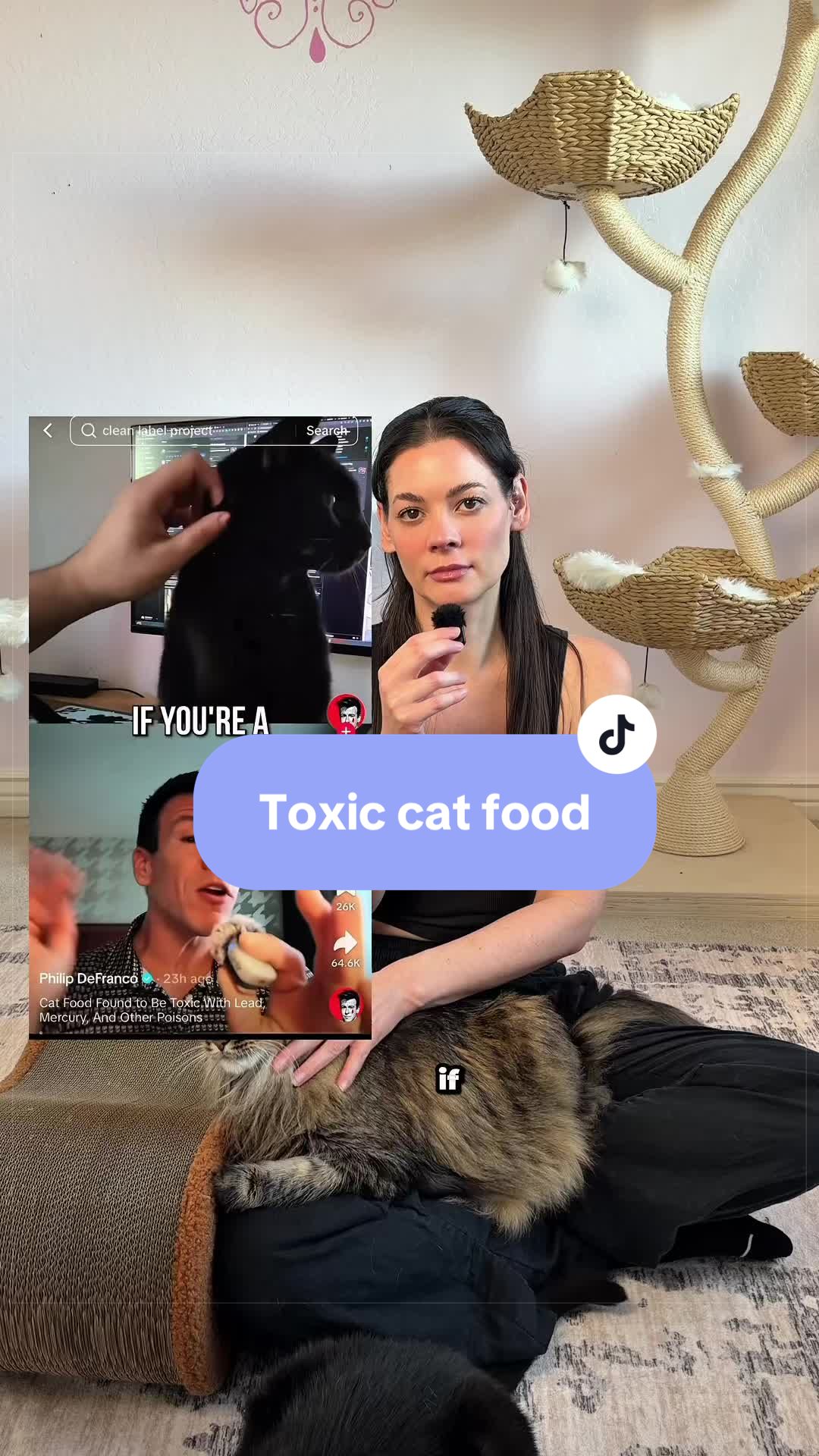 @Feminist Kitty | Cat Nutrition