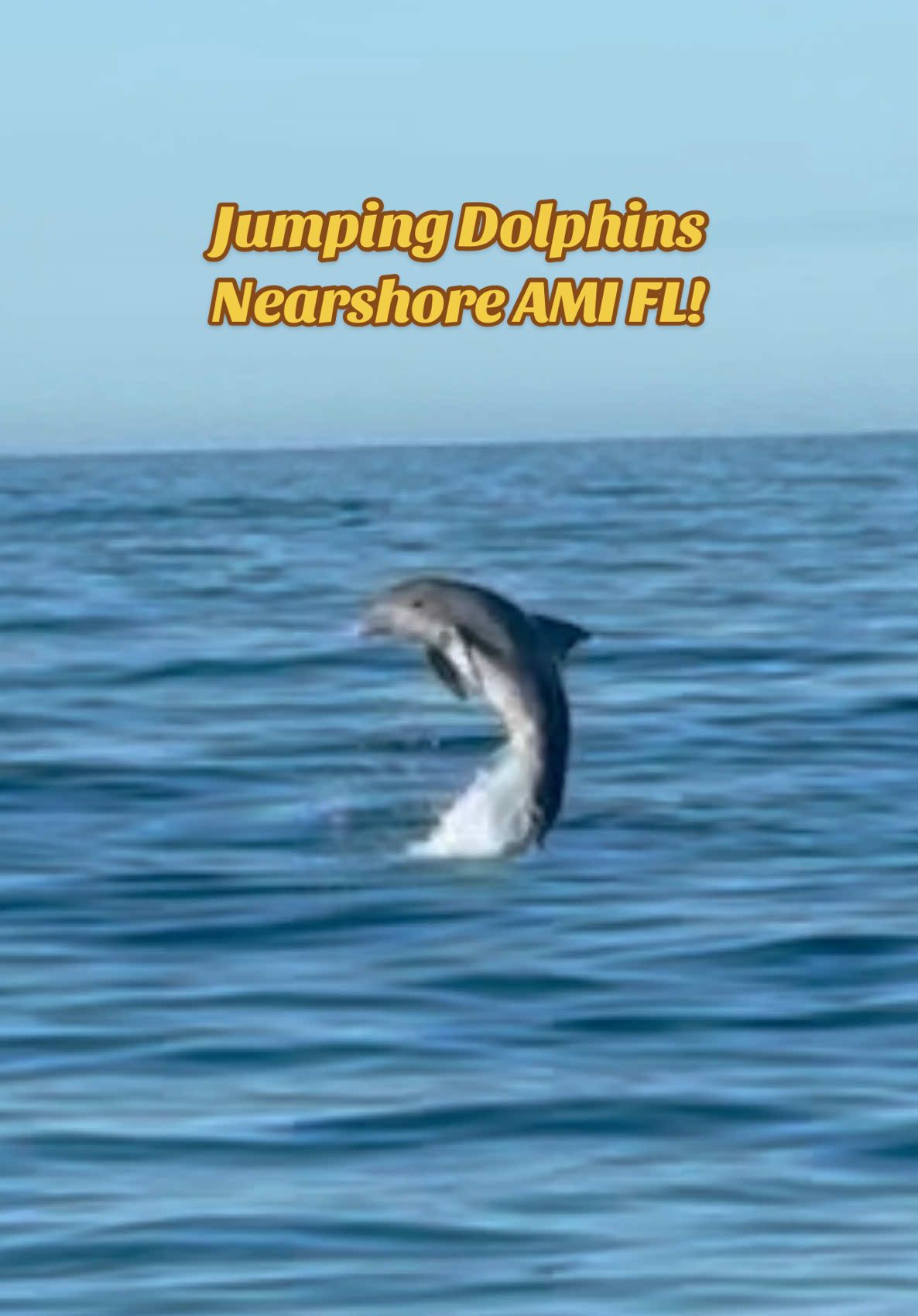 @HookedOnSharksLLC