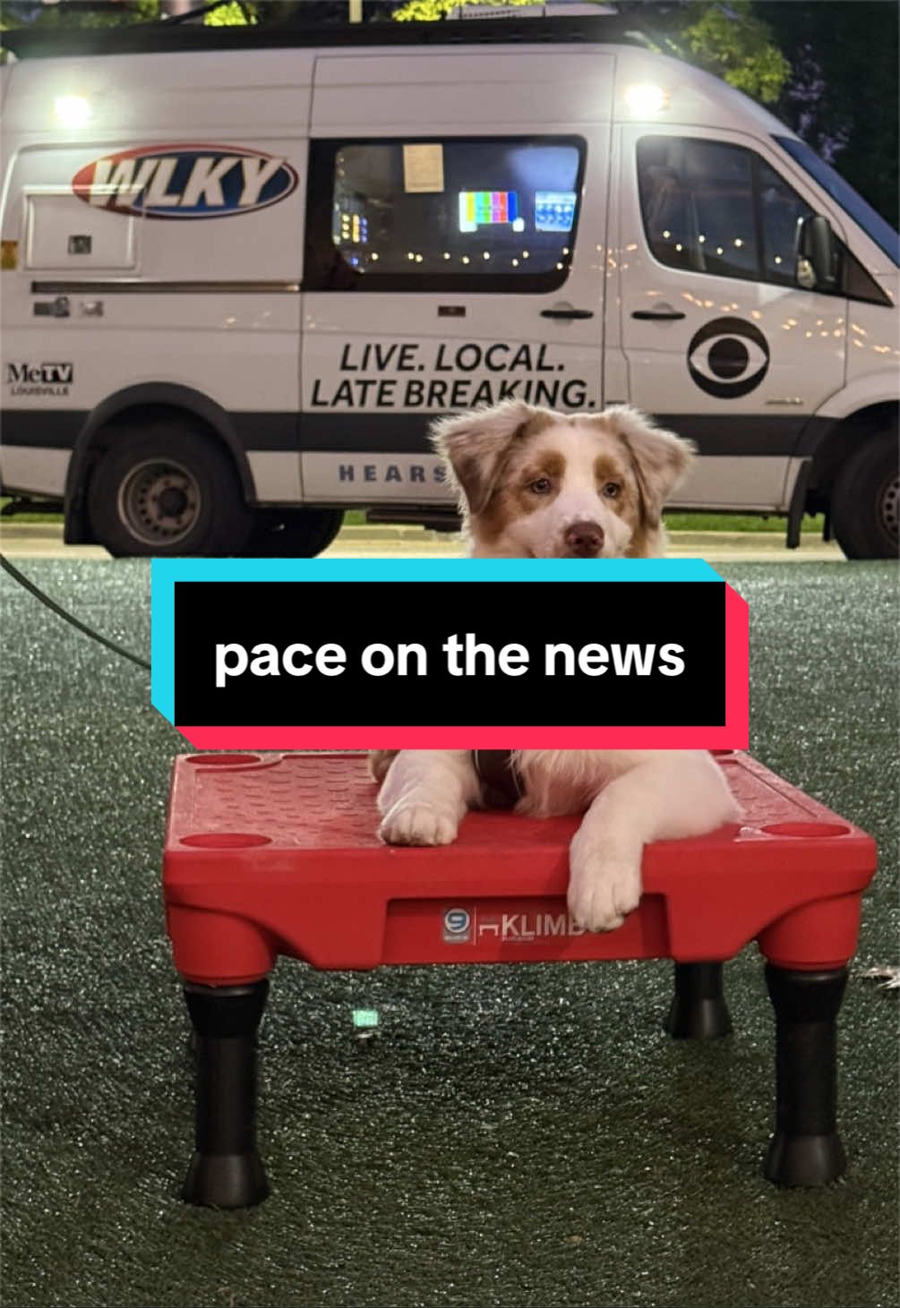 @Beck | Kentucky Dog Trainer