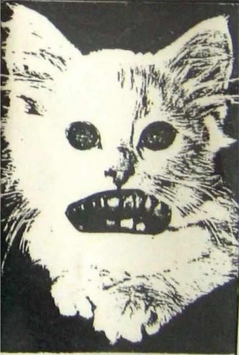 @๐๐๐๐๐ ๐จ
