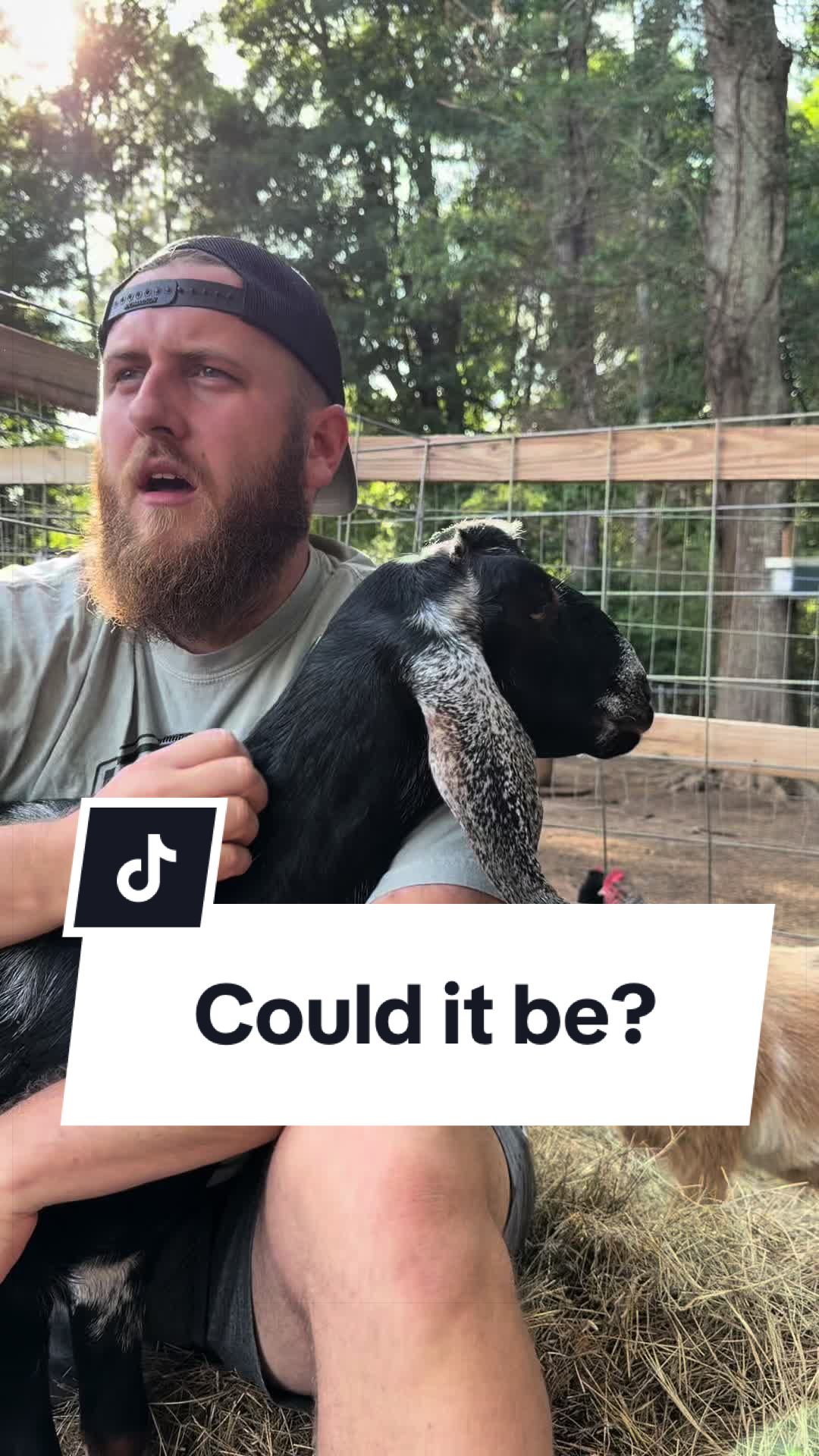 @Bandrhomestead