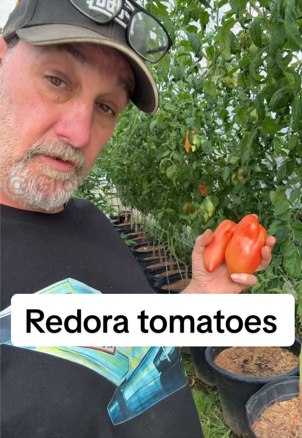 @GROWING_EDIBLE_PLANTS