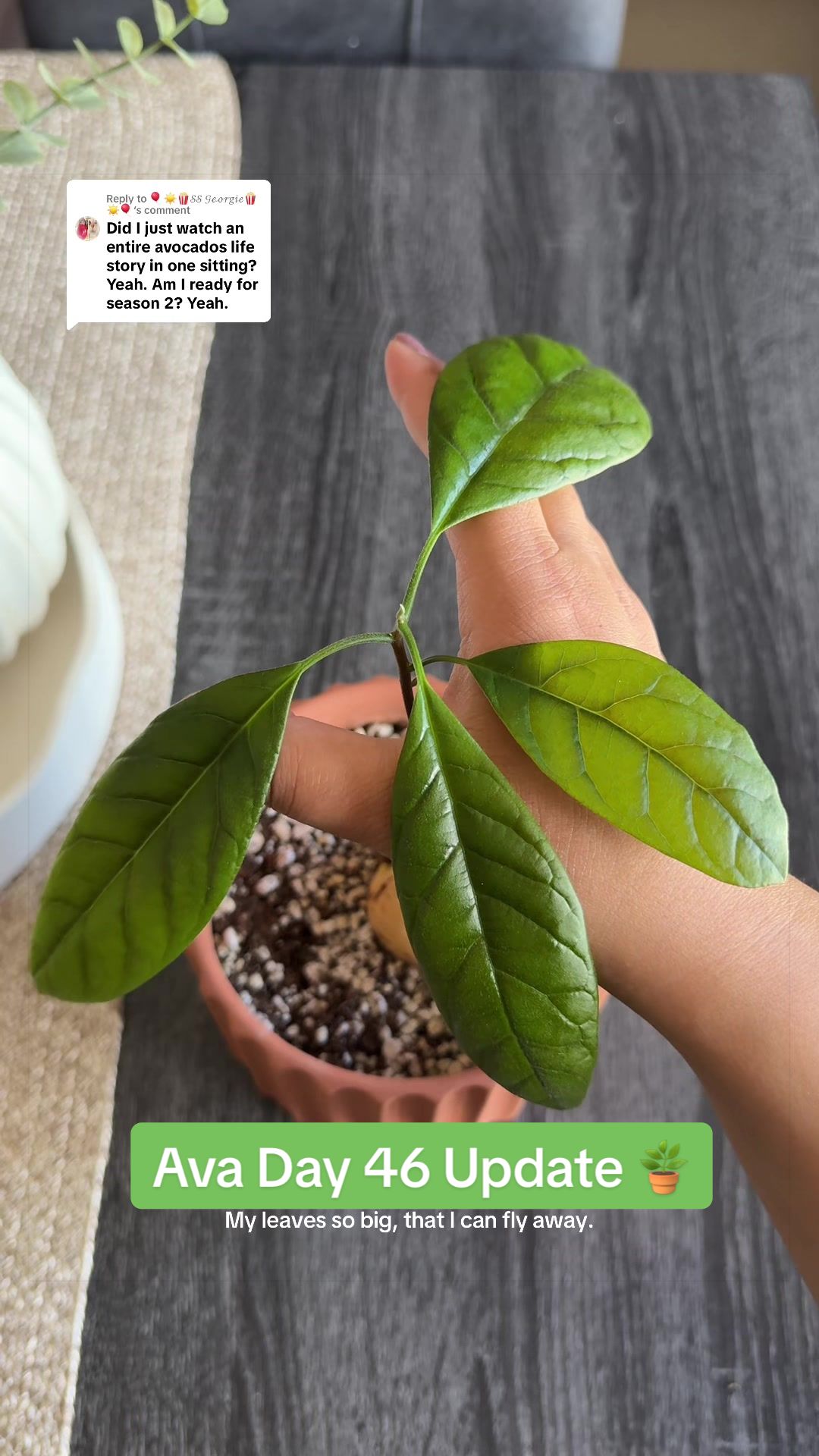 @Niki P - Ava’s Mom 🥑🌱