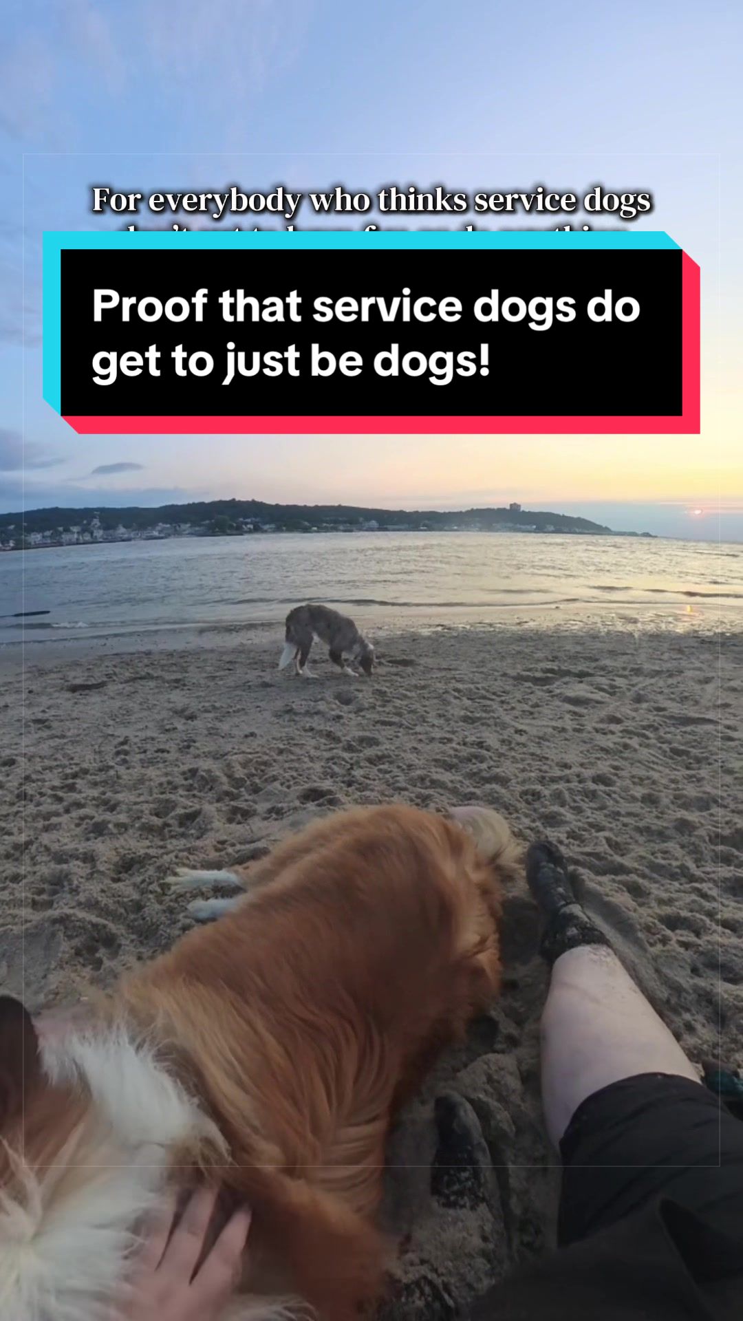 @Dakota & Pups