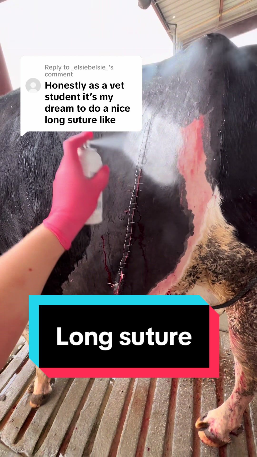 @Dairy Vet Dr. Michelle
