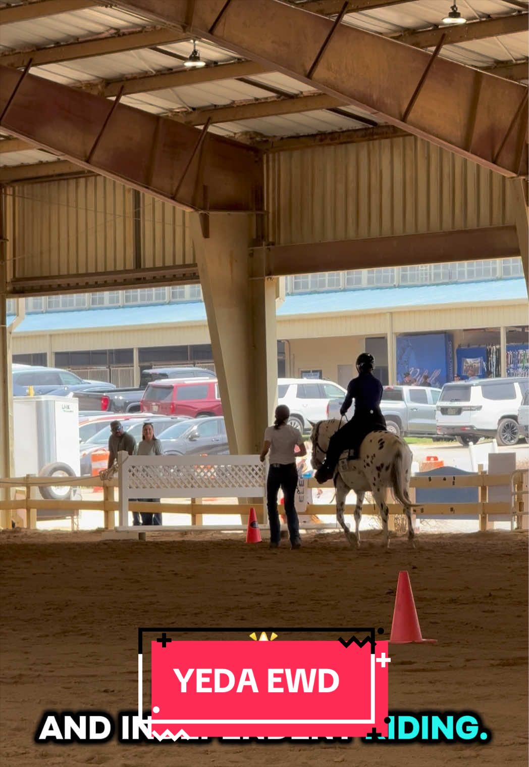 @yourhorseandponyleader