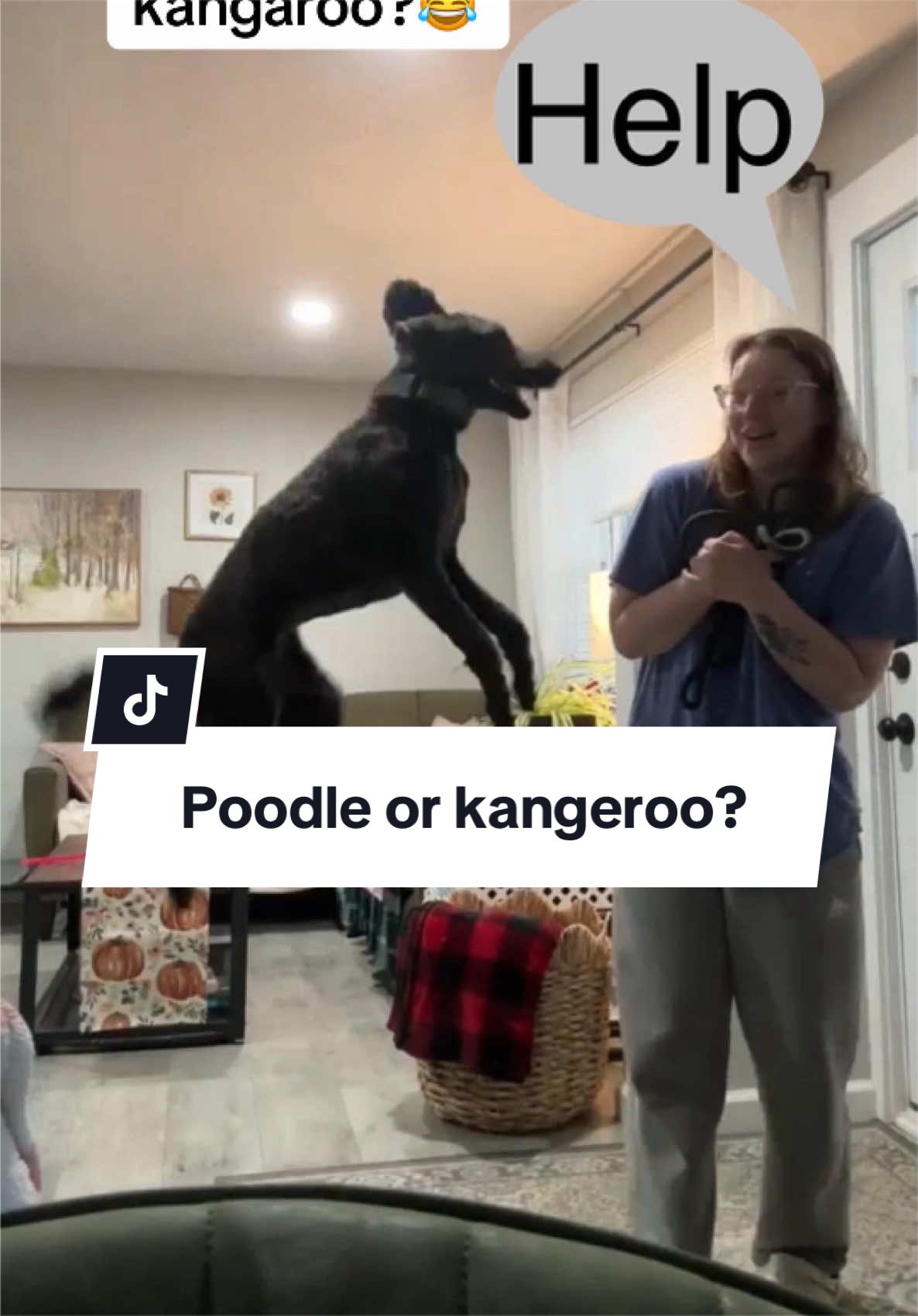 @Maddie, Jovie & Nessie🤍🤎🐩