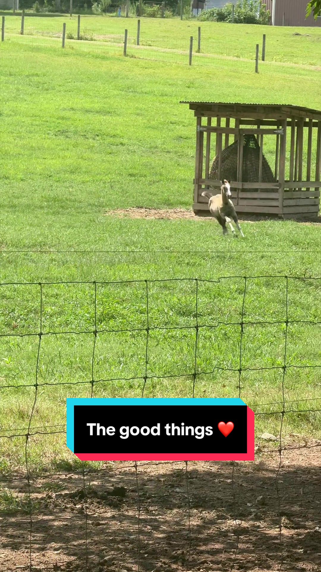 @ThePaintedAcresRanch