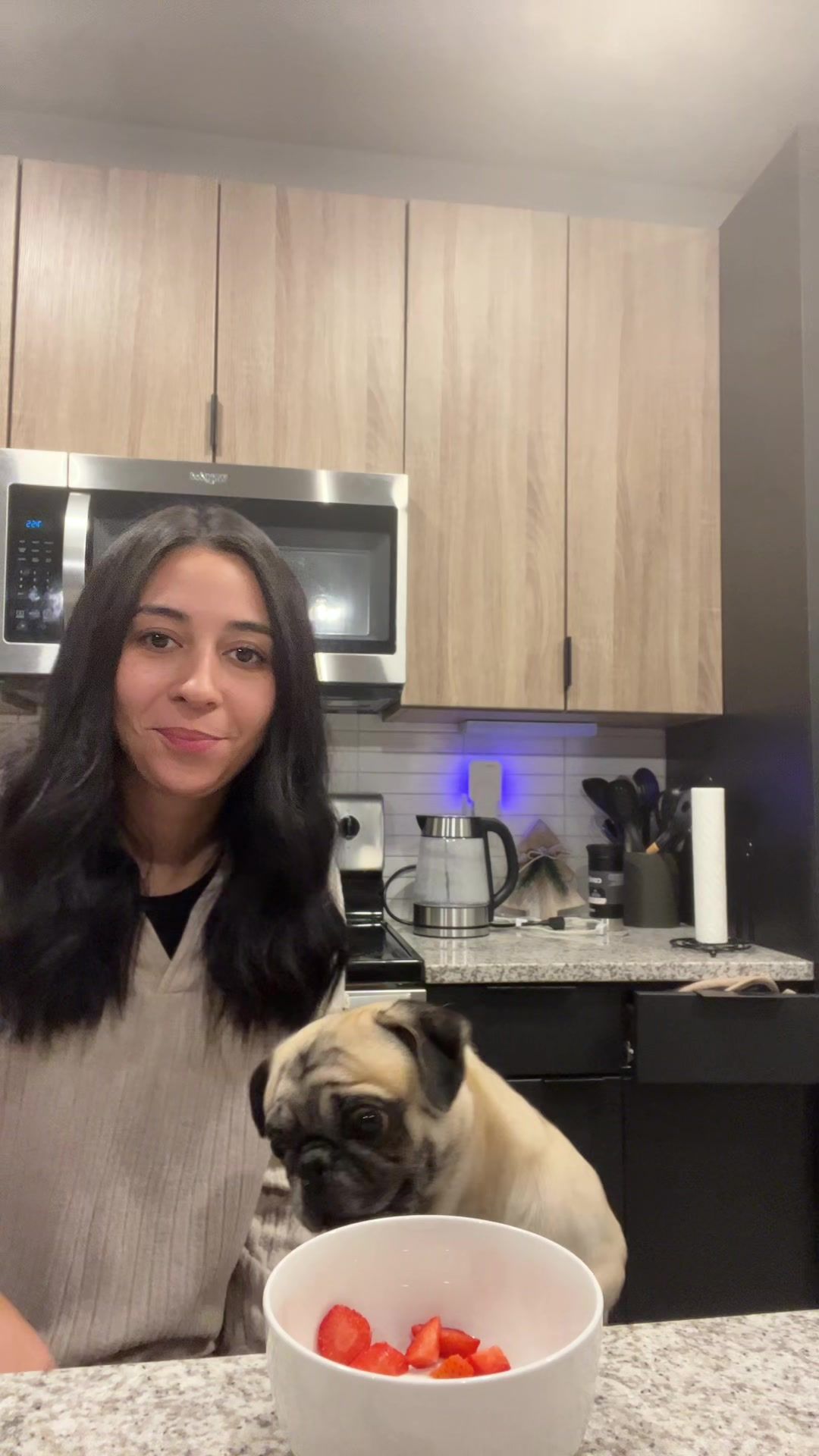 @Rigatoni the Pug