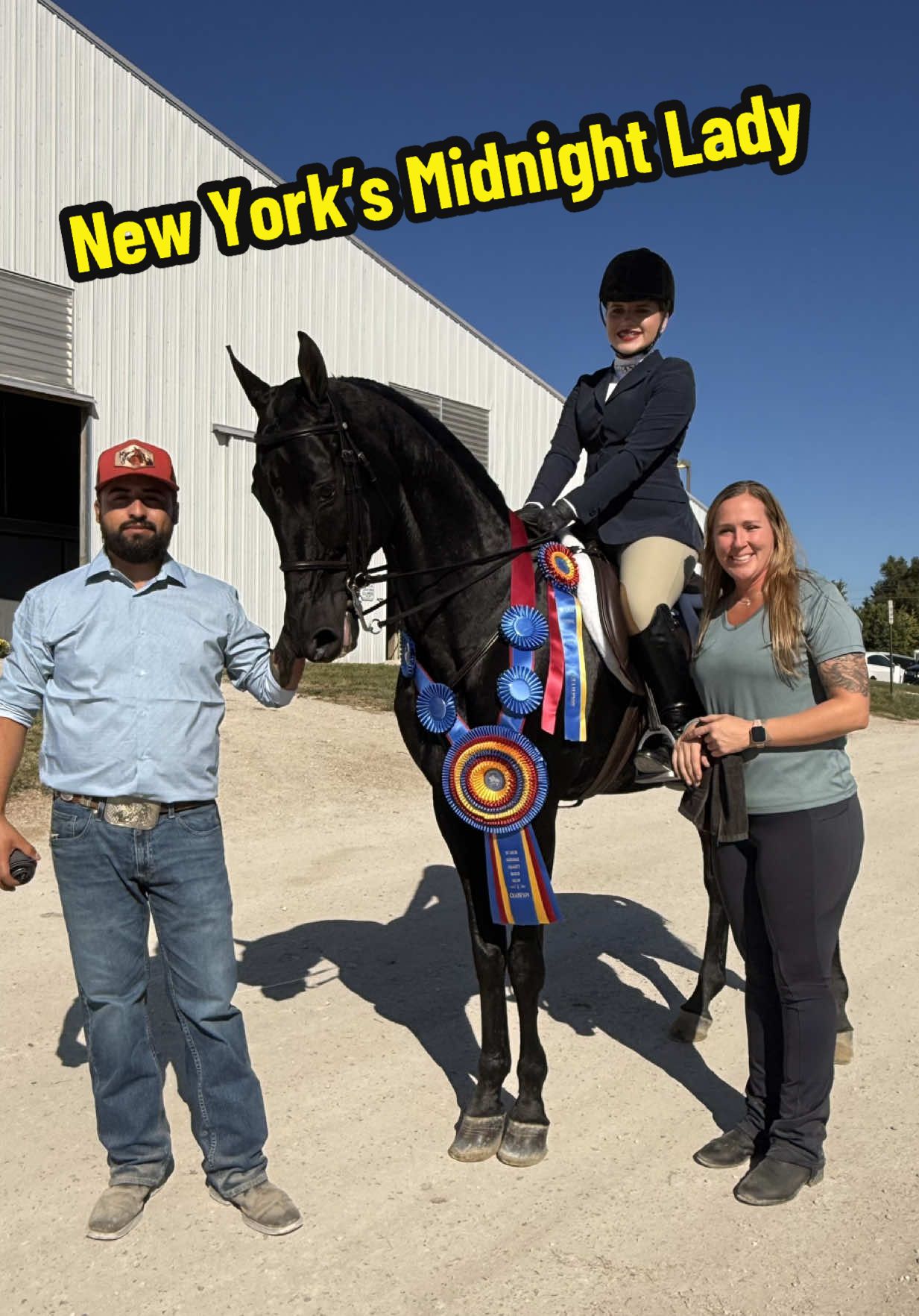 @Seraphim Stables