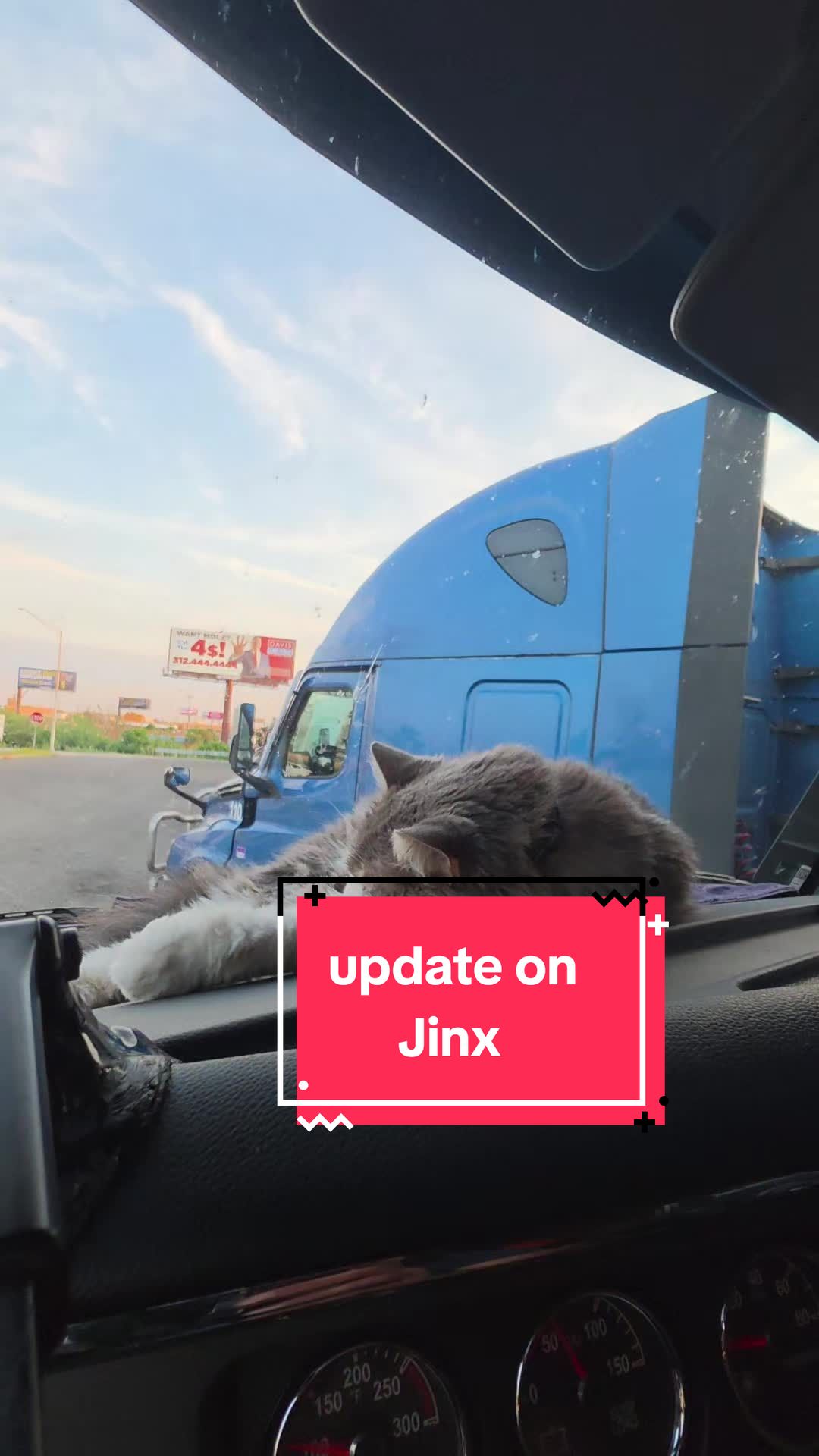 @Jay & Jinx