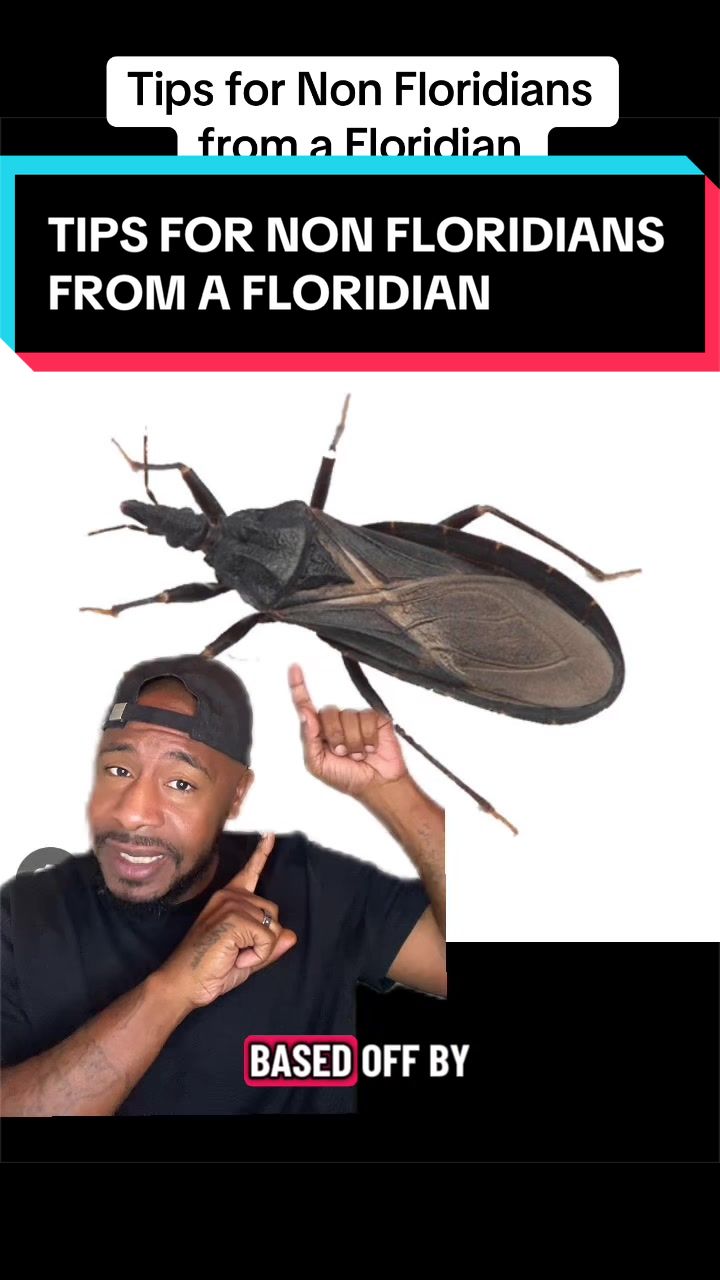 @MaintainTheDream
