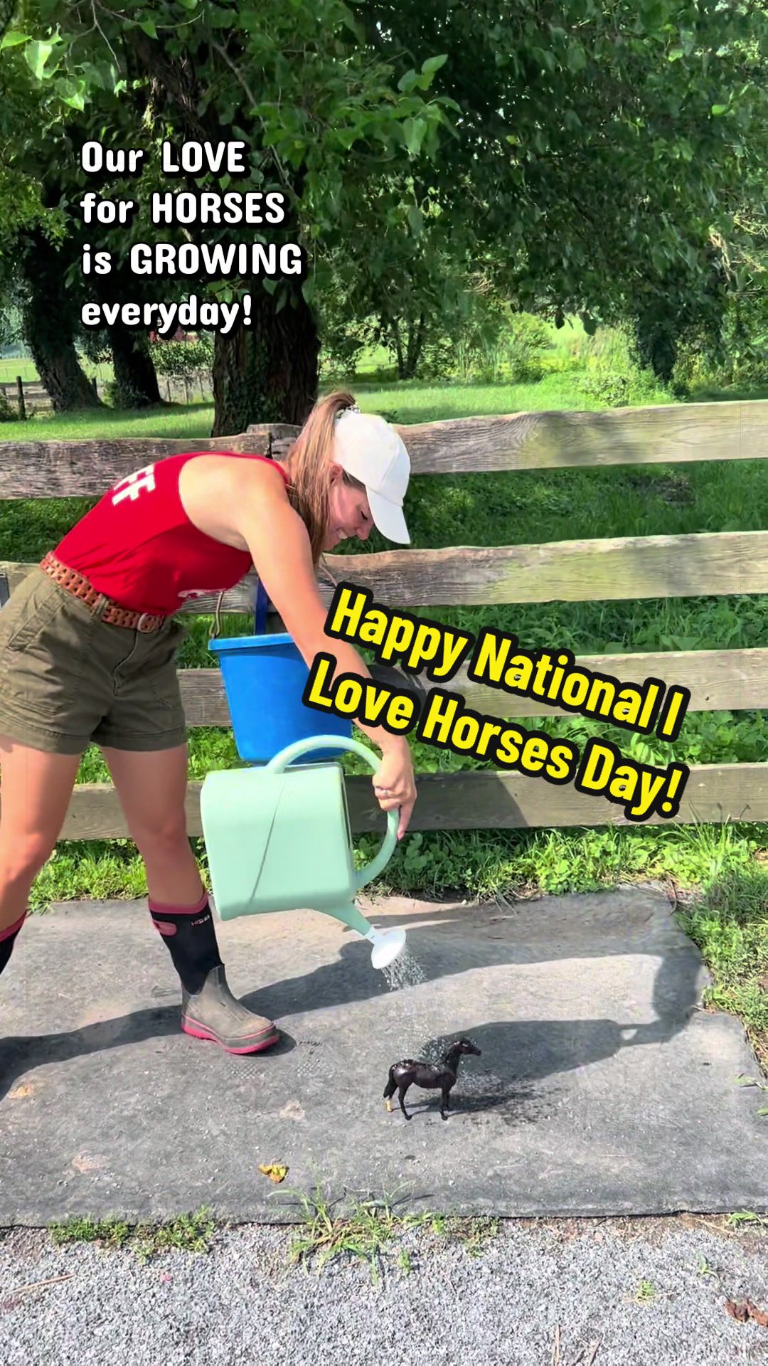 @Days End Farm Horse Rescue