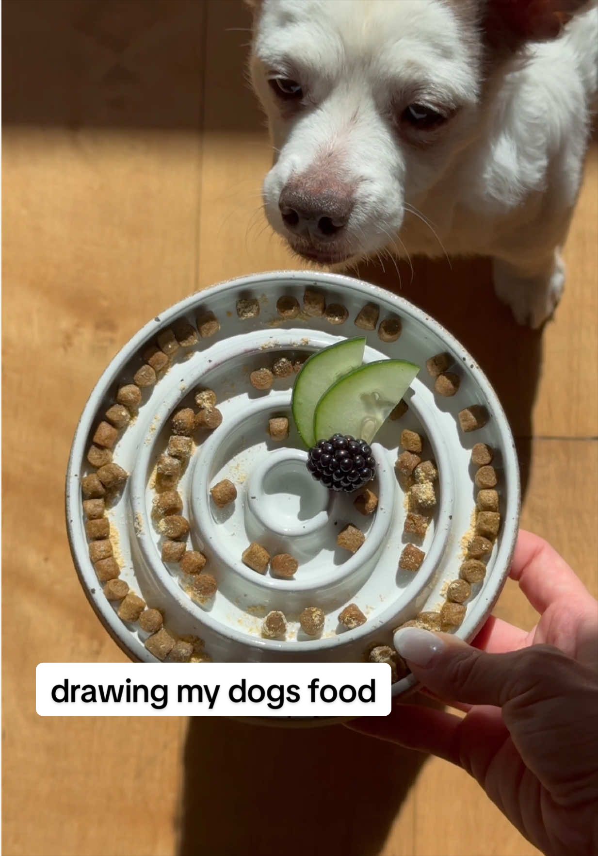@Native Pet