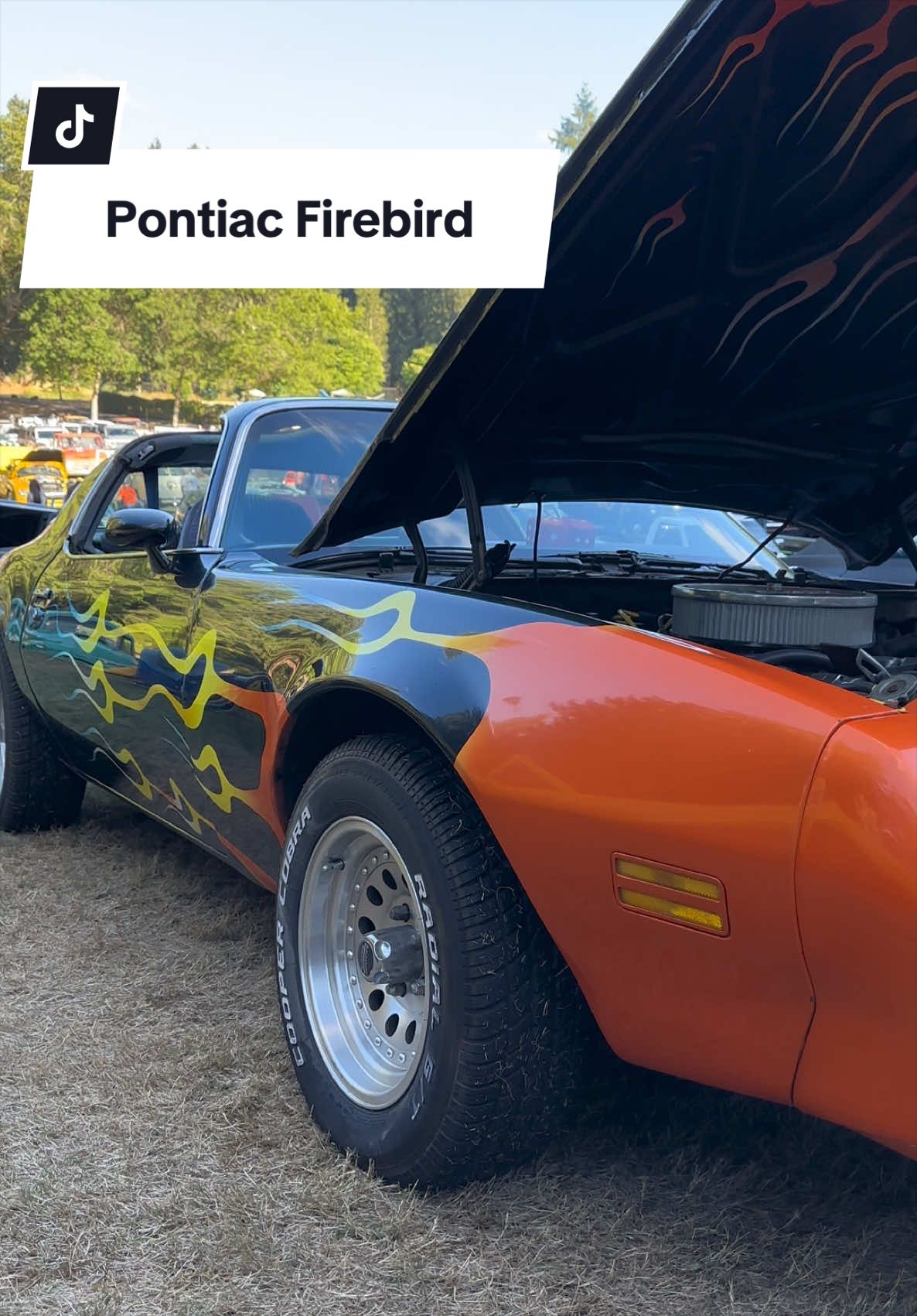 @V8 Vibes