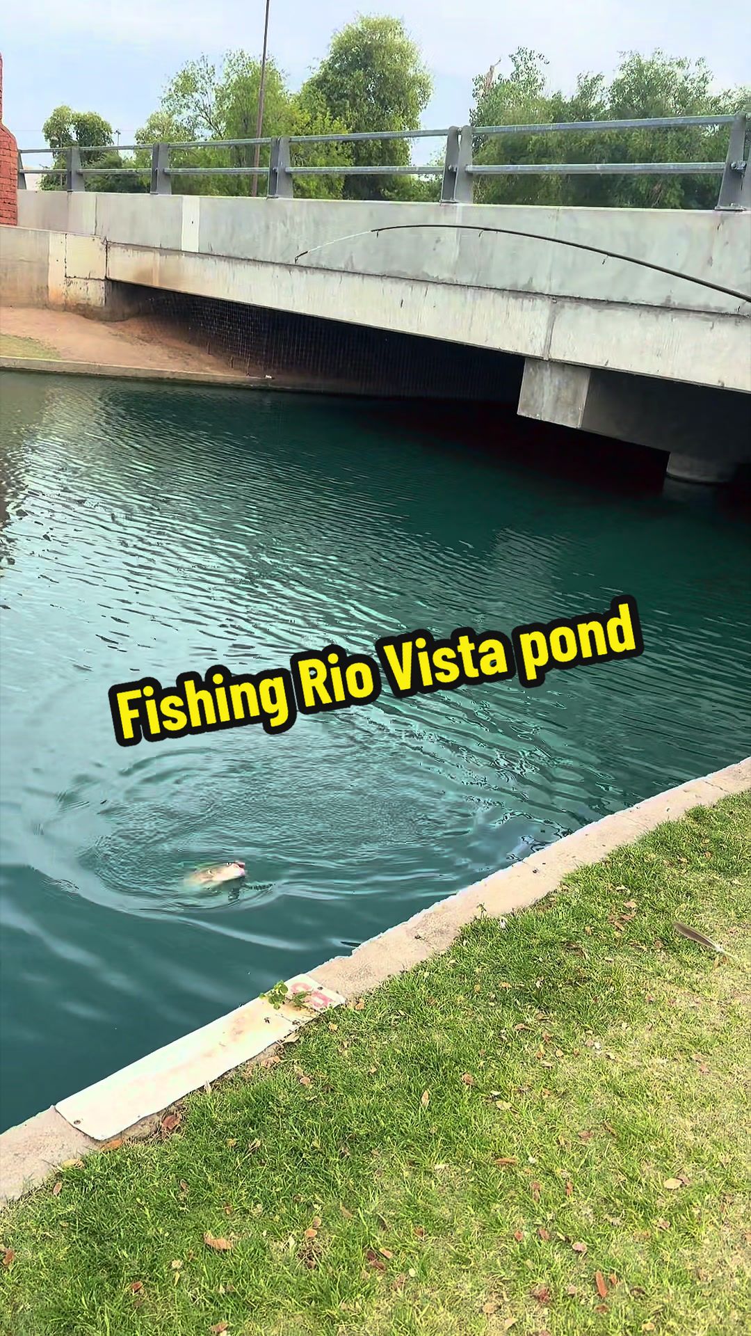 @Luu Nguyen Fishing