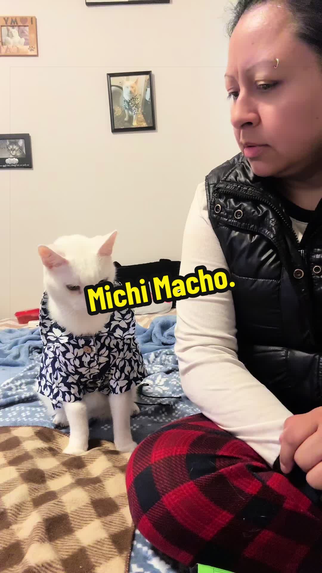 @🦖 MEOWassic World 🌎