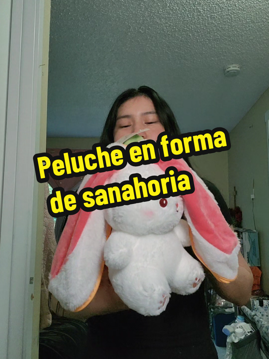 @Evelyn Lorenzo