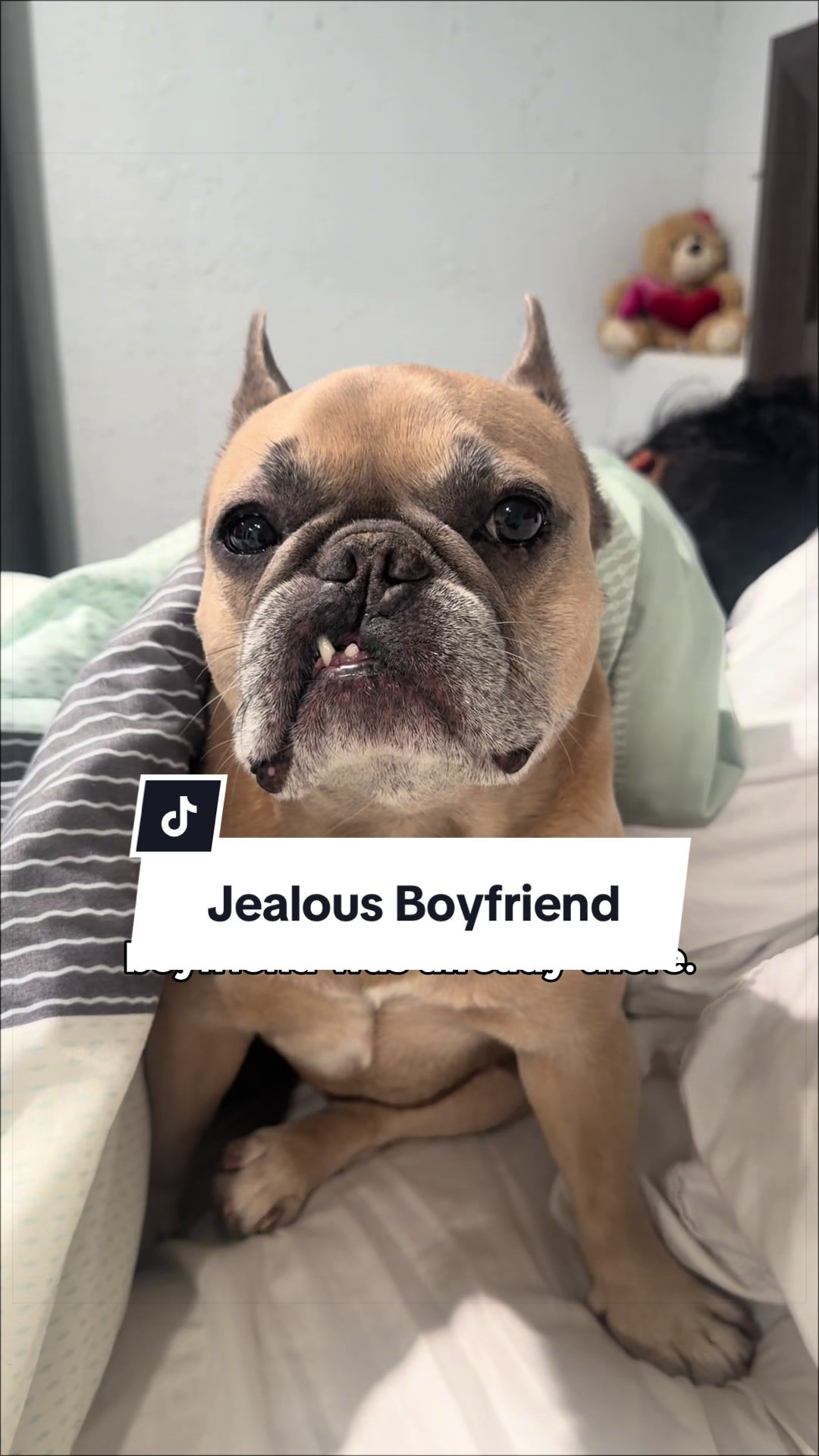 @Somefrenchienamedapollo