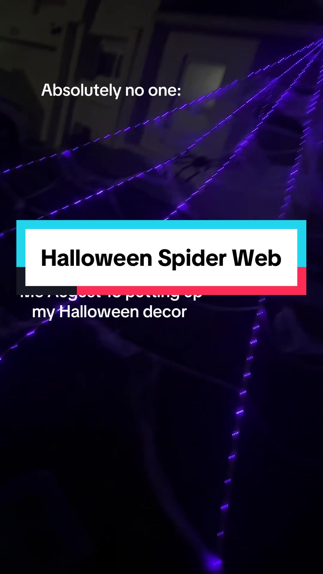 @Designer | TikTok Finds & Deal