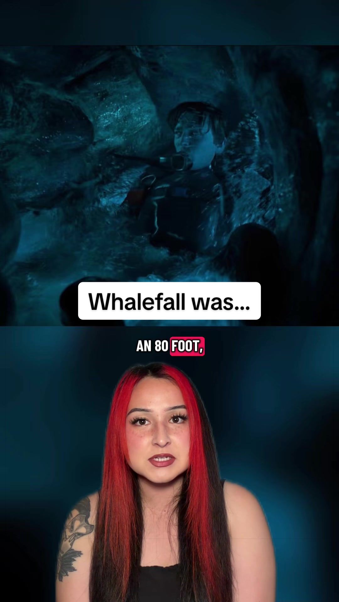 @Allie Tran