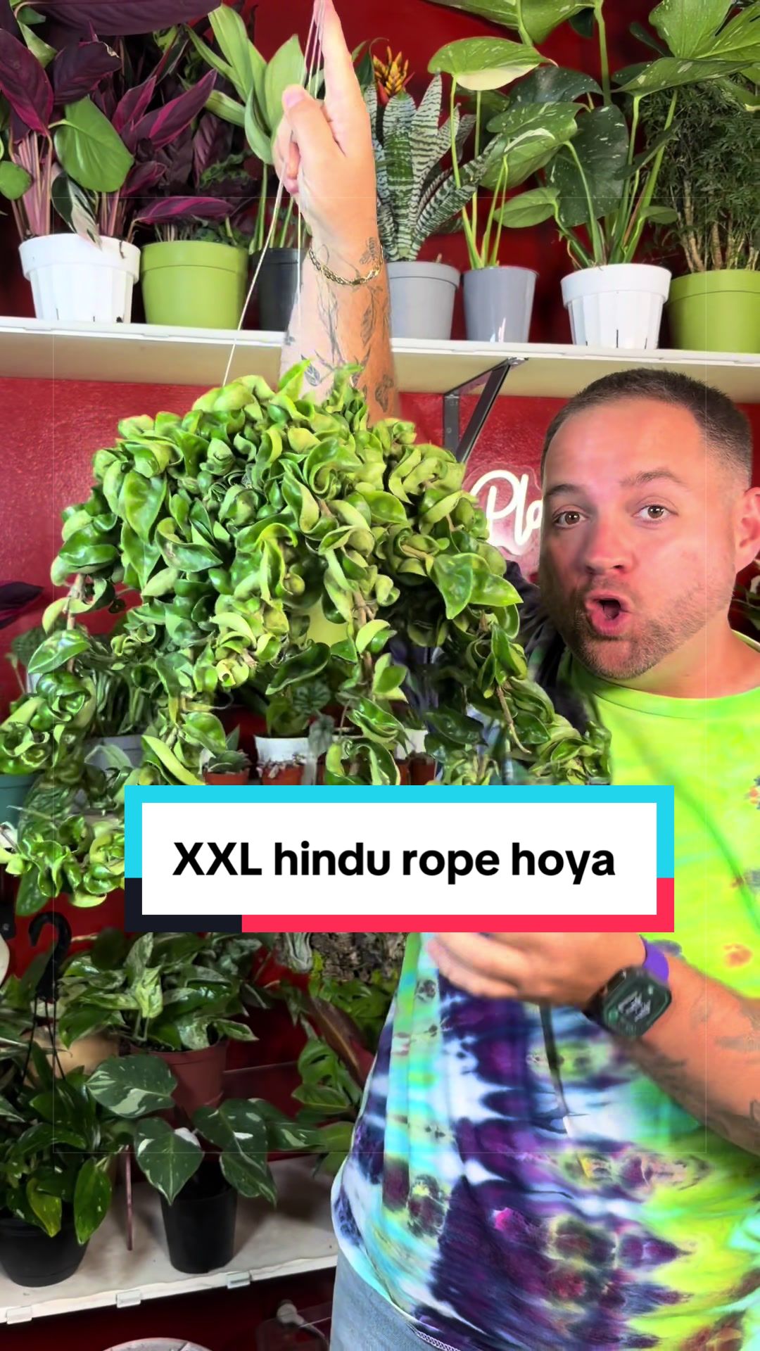 @Brandon The Plant Guy