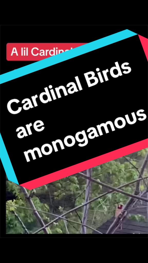 @HighwayOfDiamonds