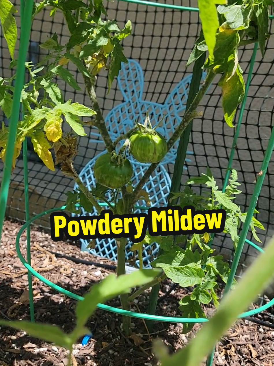 @Grateful_Gardening