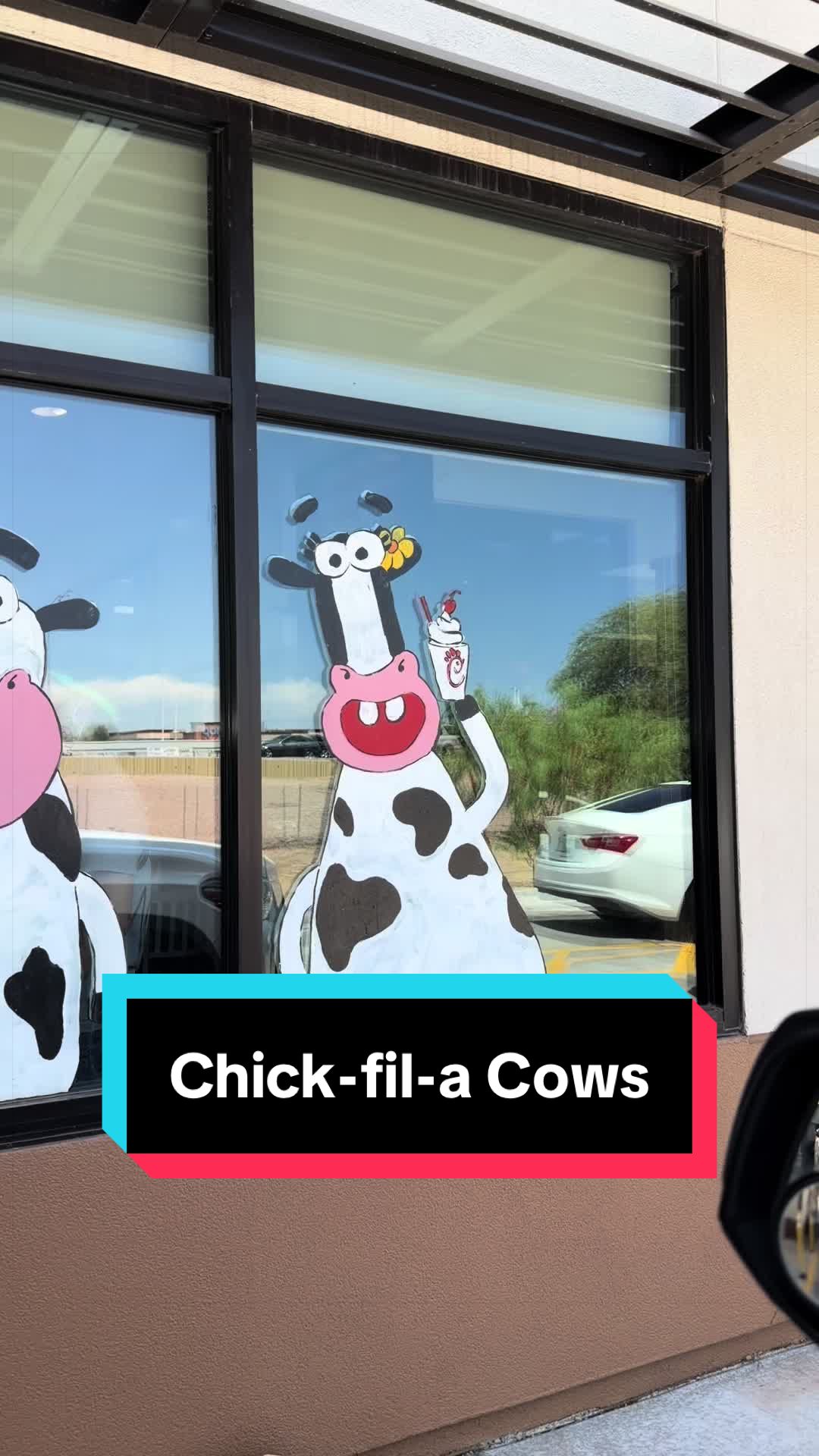 @Dairy Vet Dr. Michelle