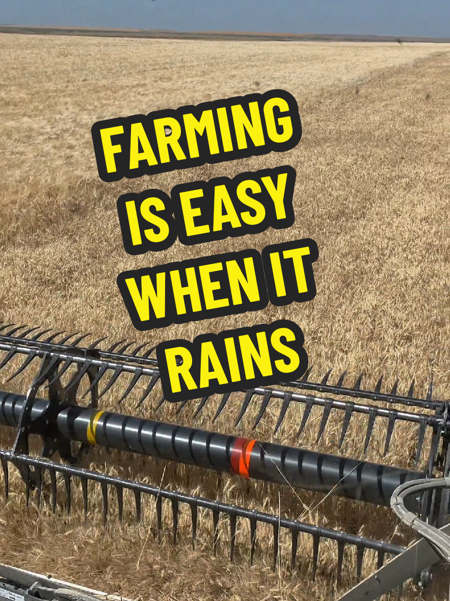@1HANDNFARMING 🦾🌾🐂🚜