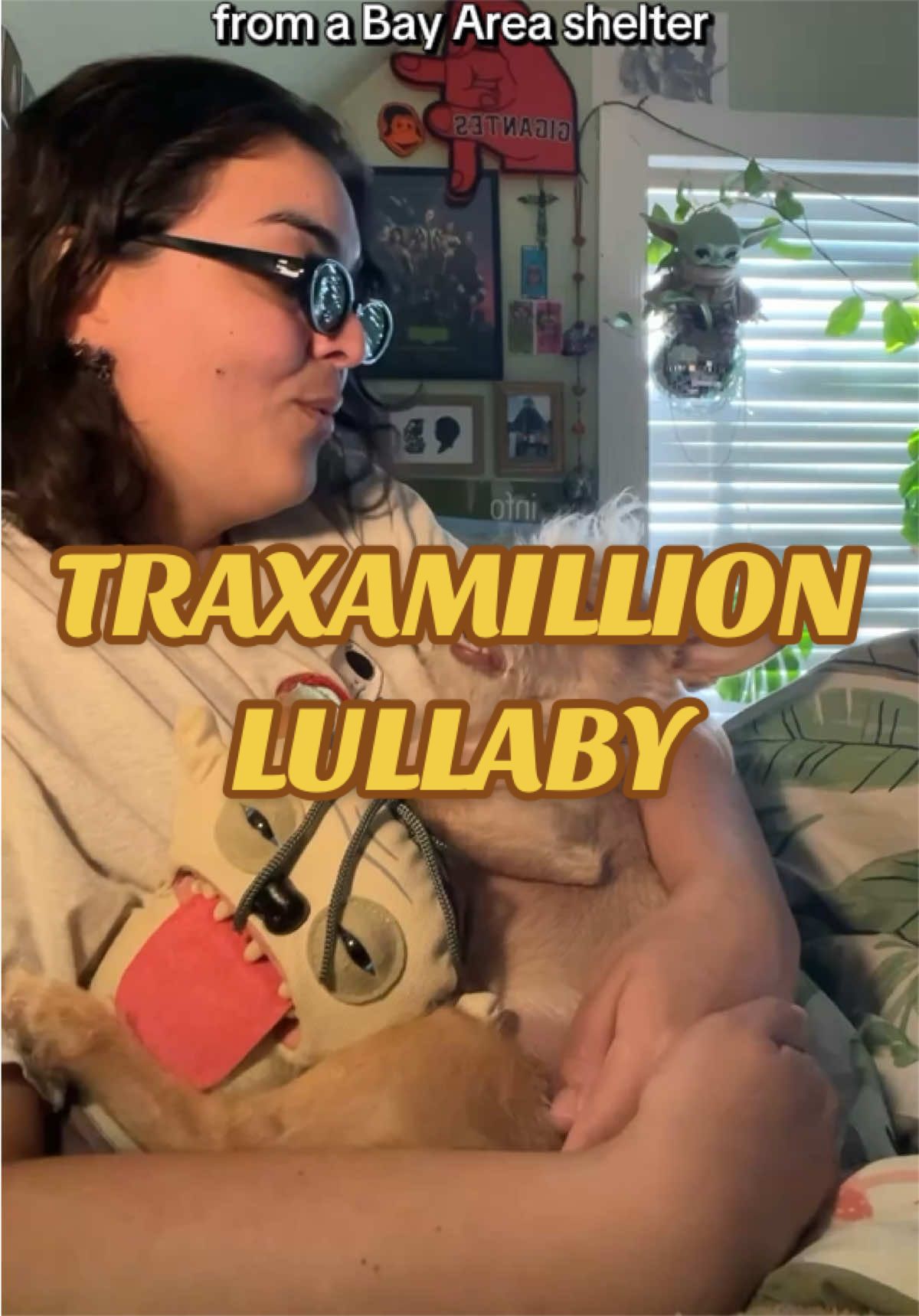 @What’s New Sunny-Doo?