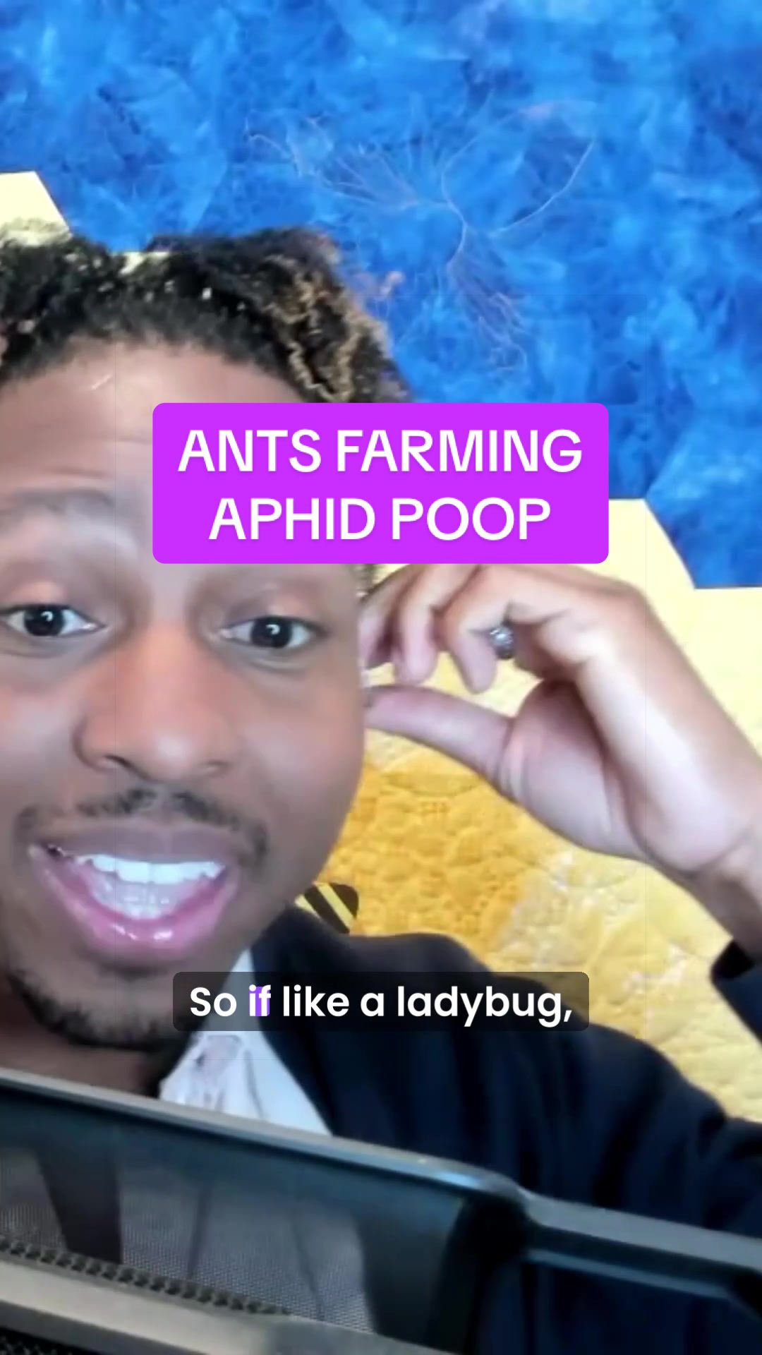 @terrestrialspodcast
