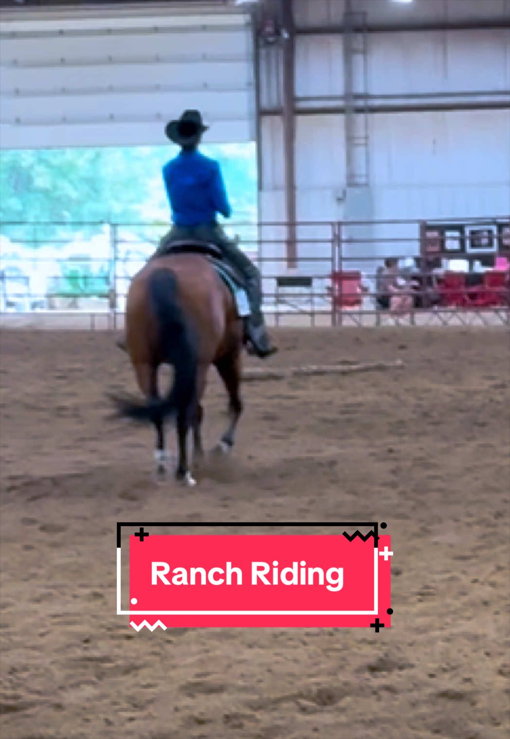 @yourhorseandponyleader