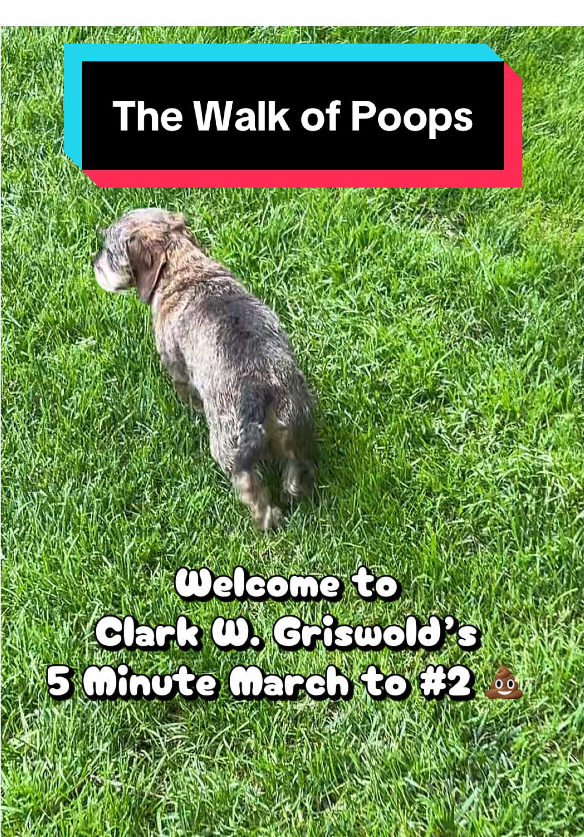 @dr.adam_christman_Veterinarian