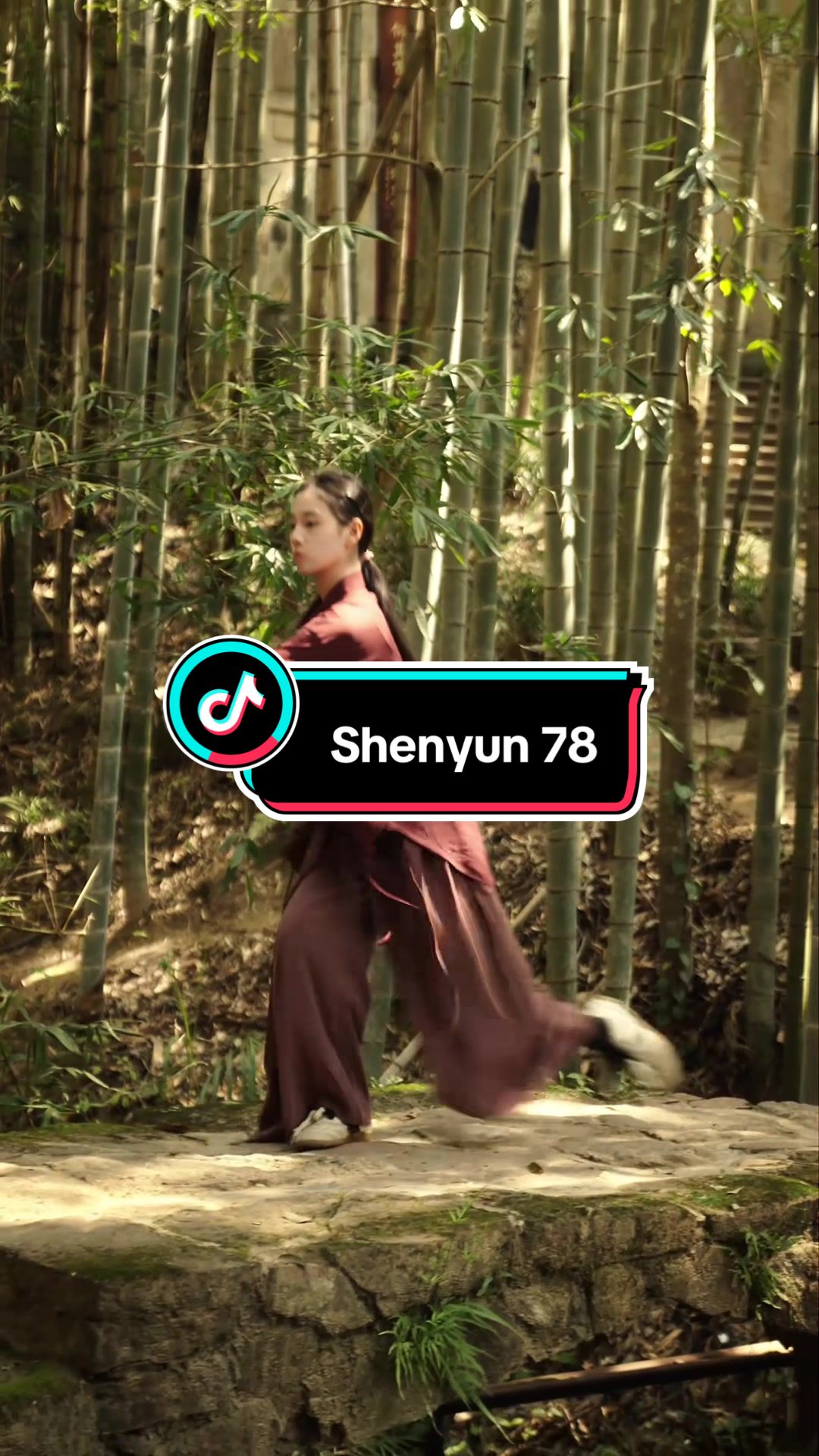 @kungfu shenyun