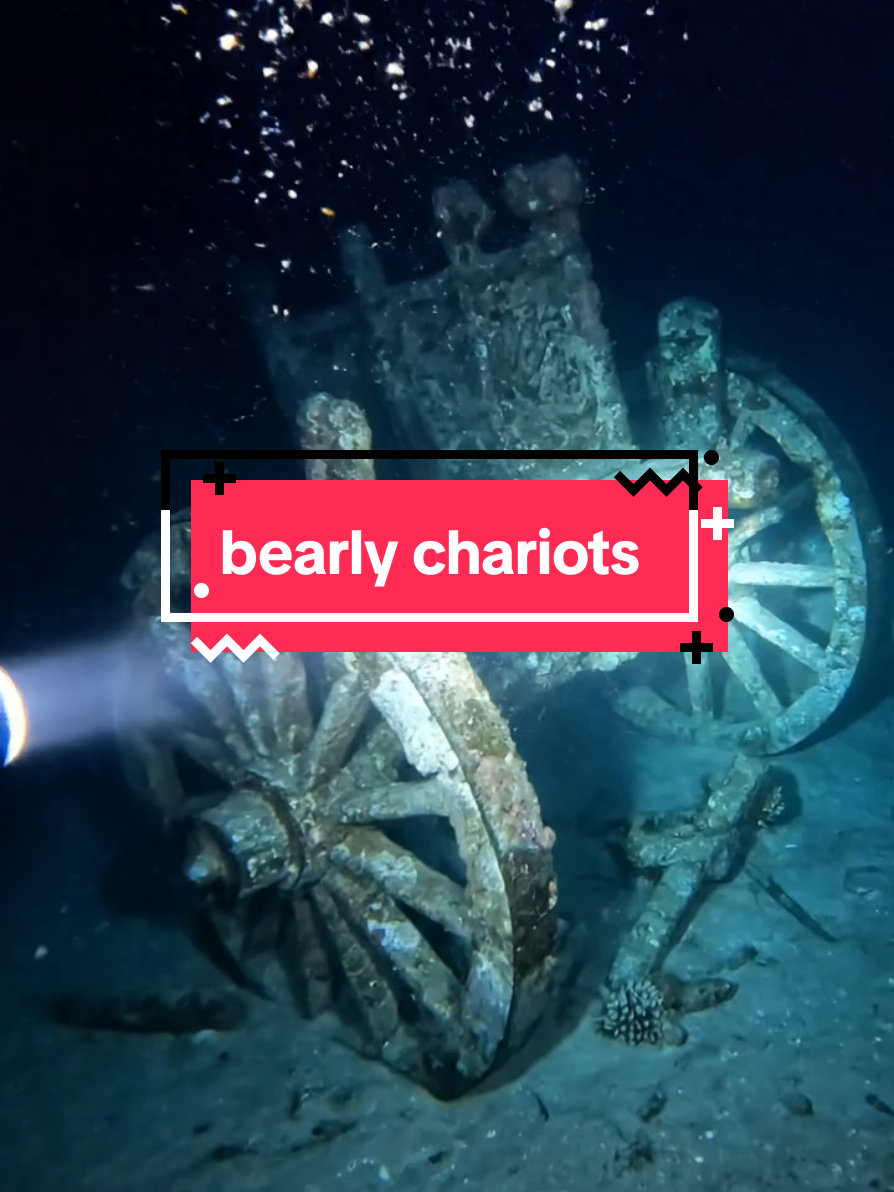 @bearlyconspiracies