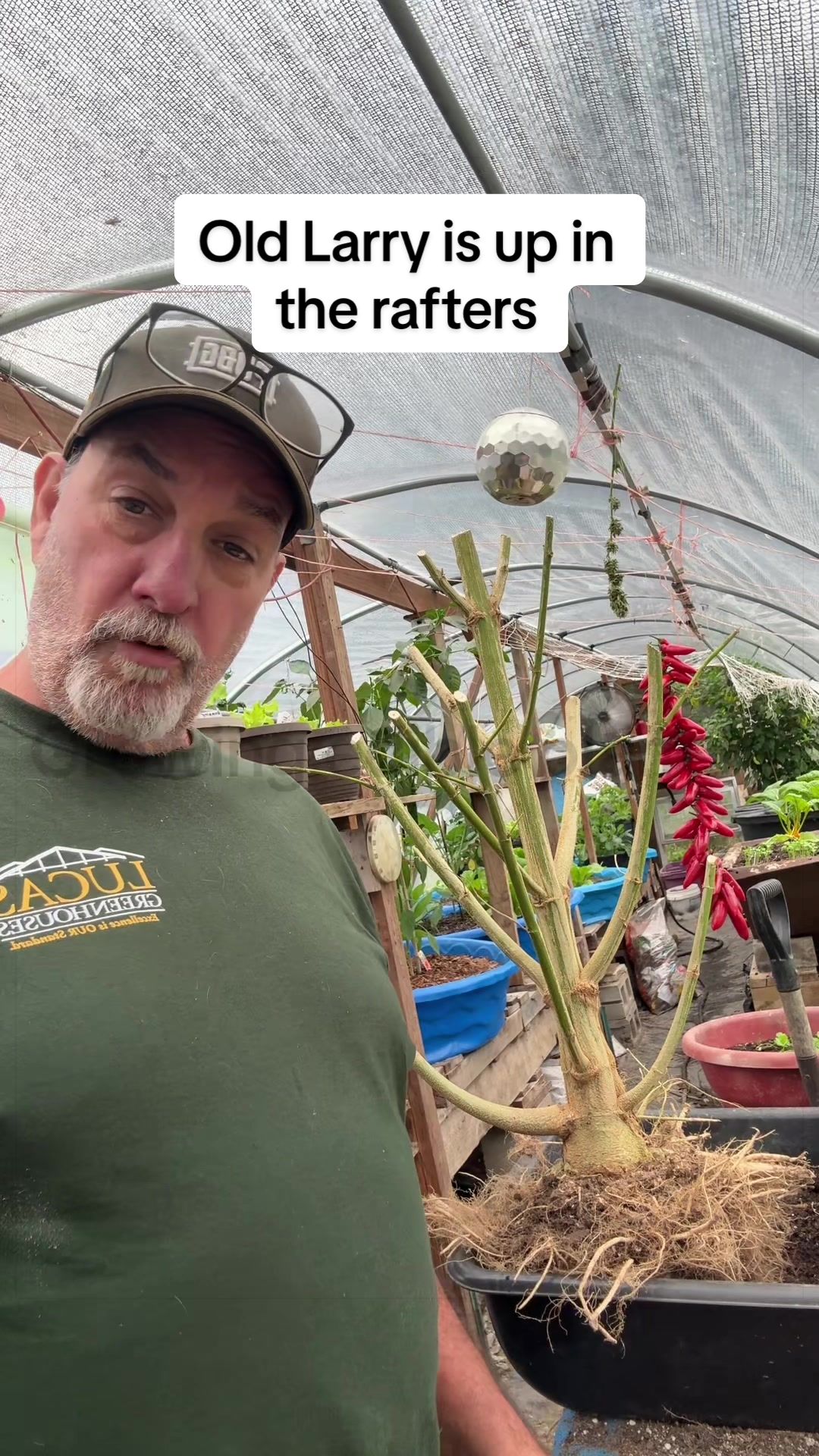 @GROWING_EDIBLE_PLANTS