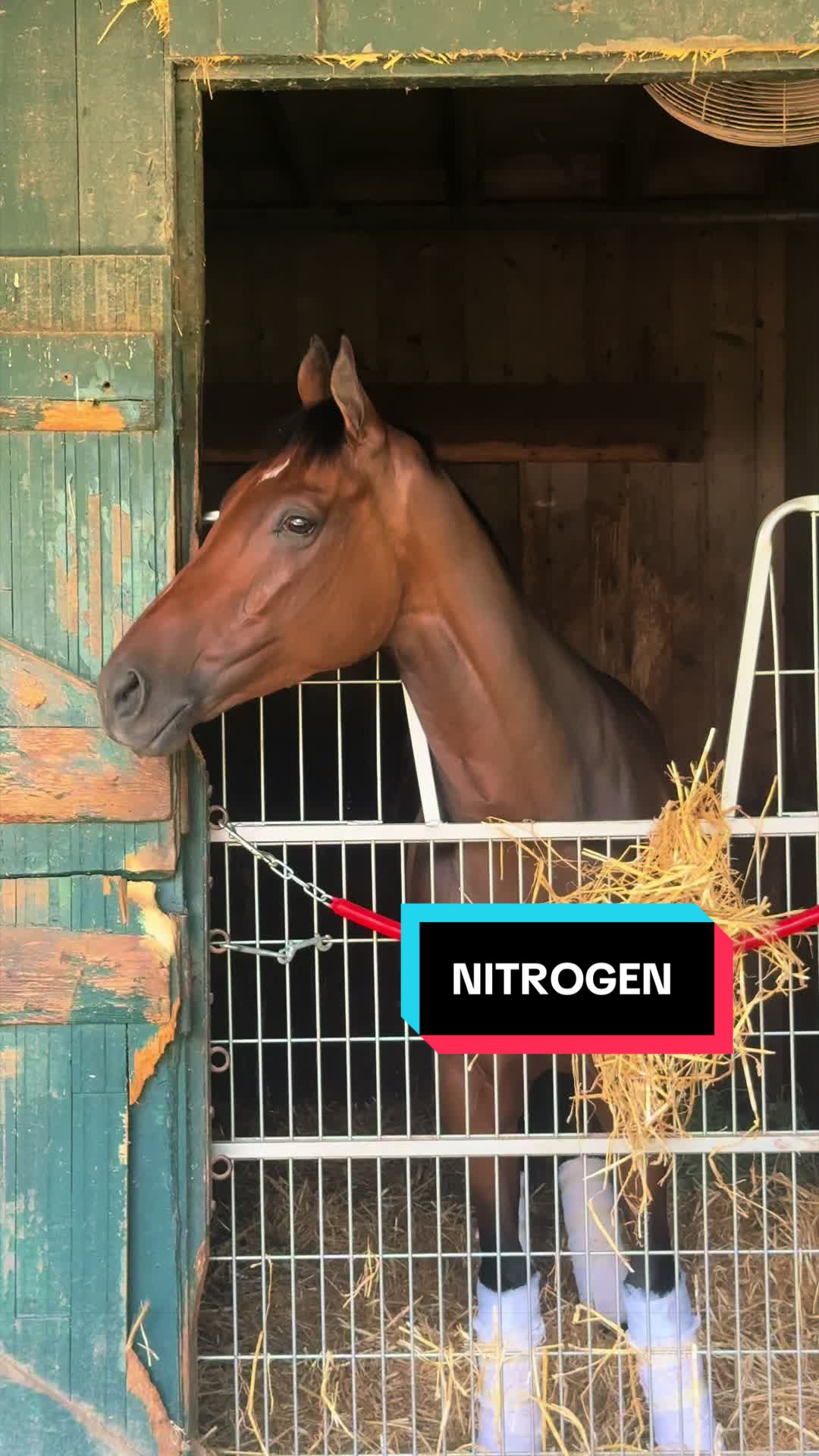 @NYRA