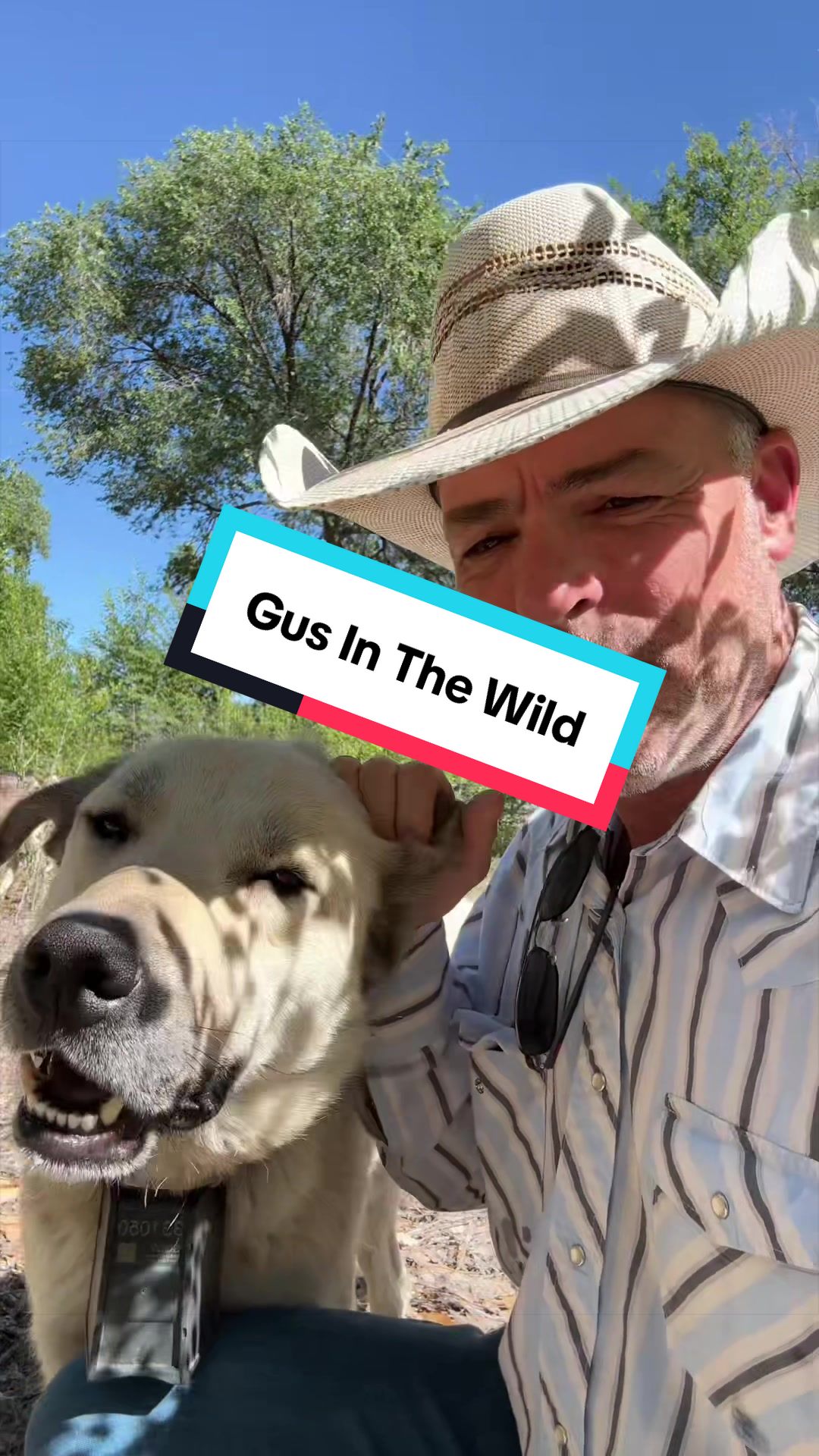 @cowboymax
